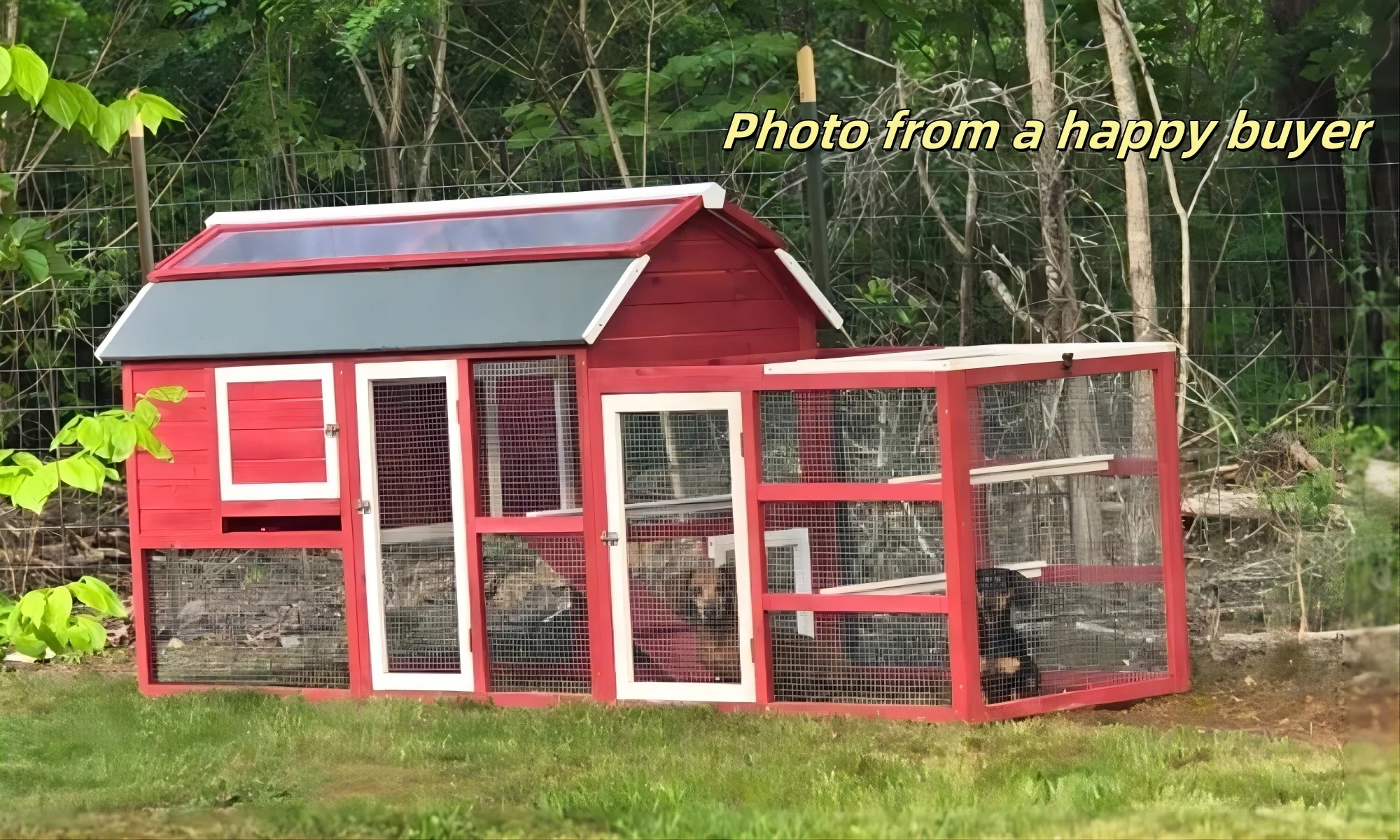 Chicken Coop Outlet Large 102