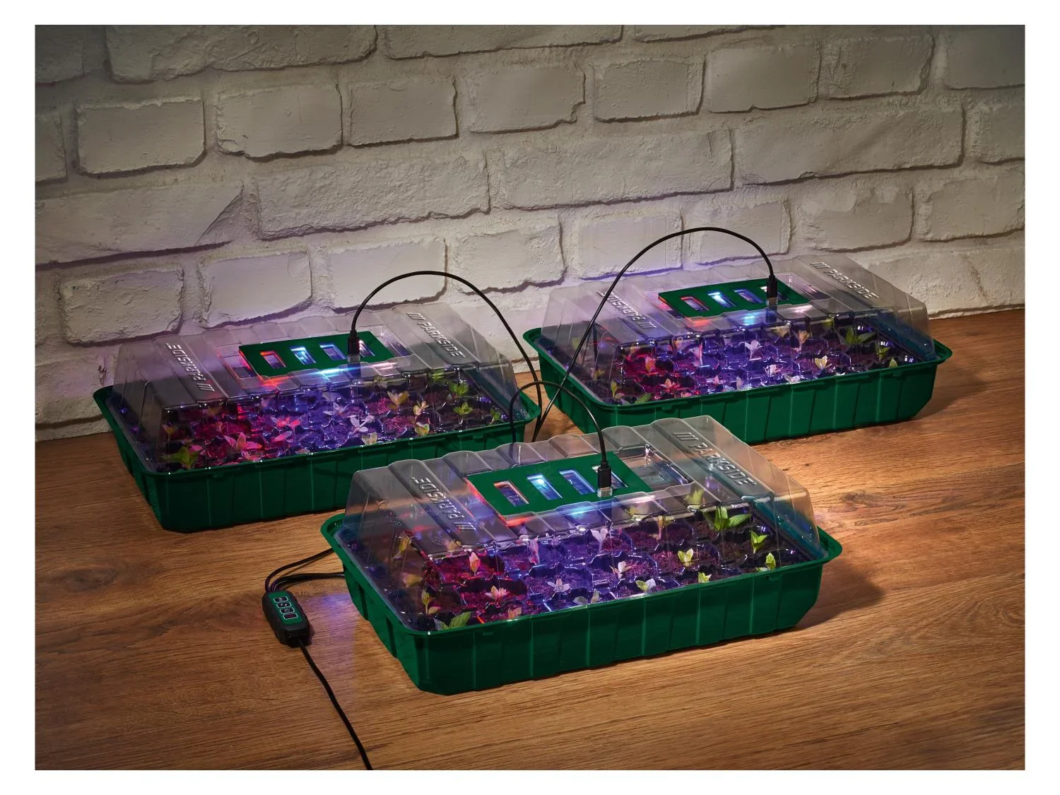 PARKSIDE Lot de 3 mini-serres  LED