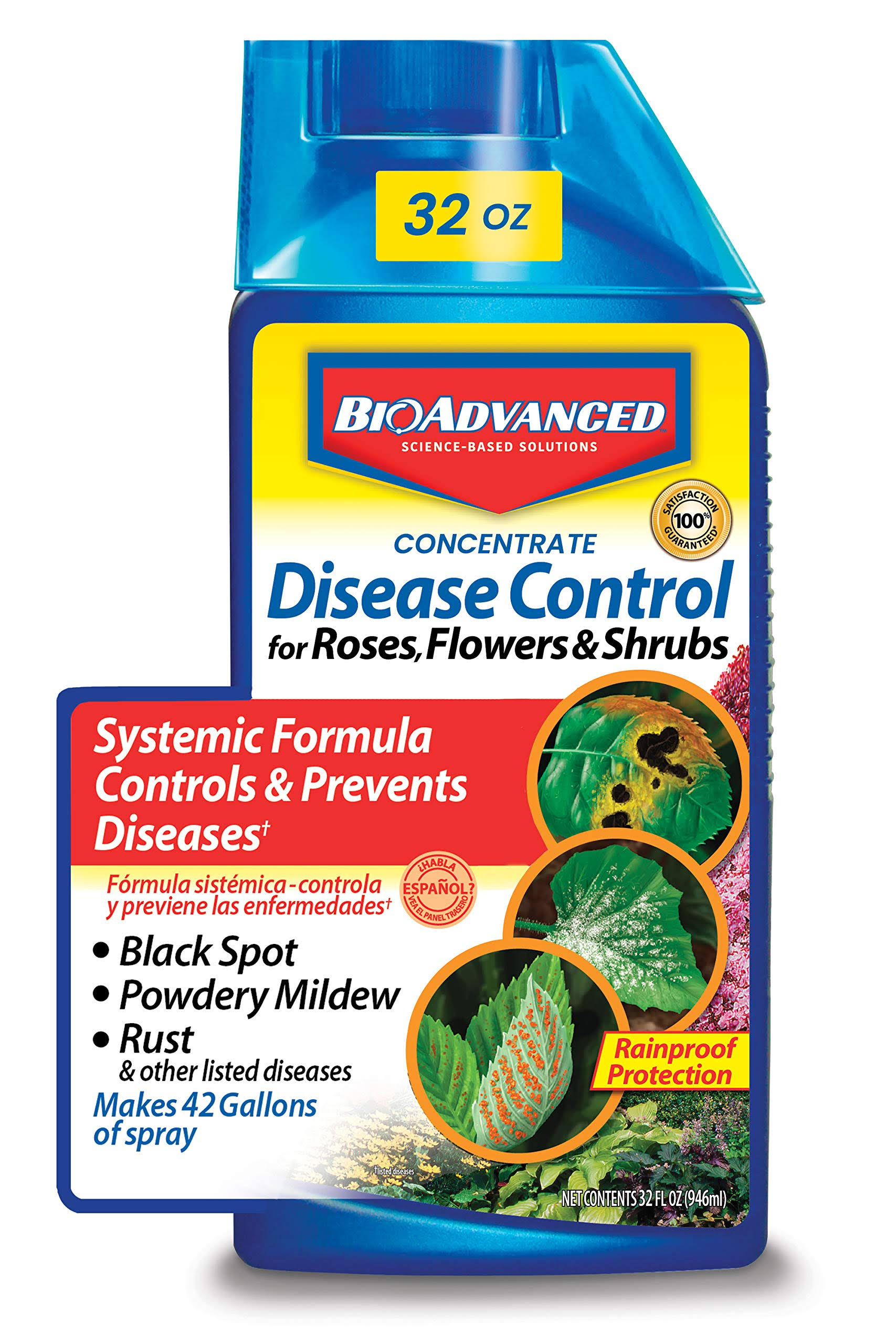 Bayer Advanced 701250 Disease Control for Rose, Flower and Shrubs Concentrate, 32ounce