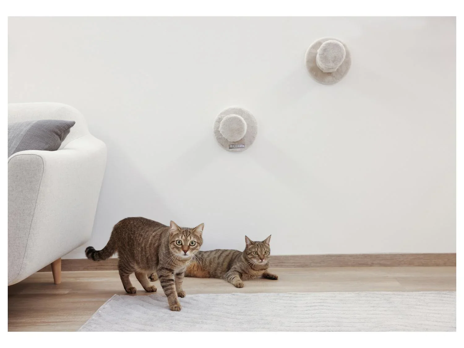 KERBL Mur d'escalade pour chat