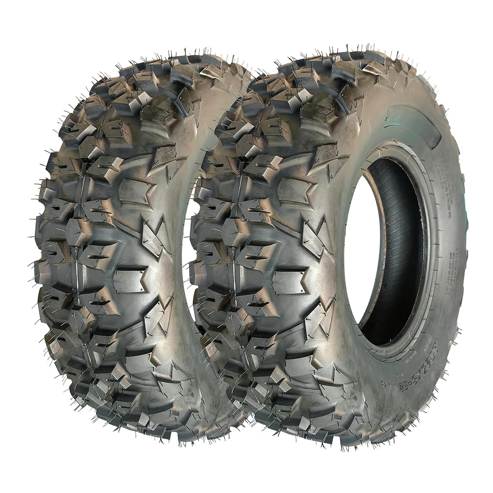 GarveeTech ATV Tire 25x8-12 ATV/UTV Tires 6PR All-Terrain Tires 2Pack Tubeless DAV101