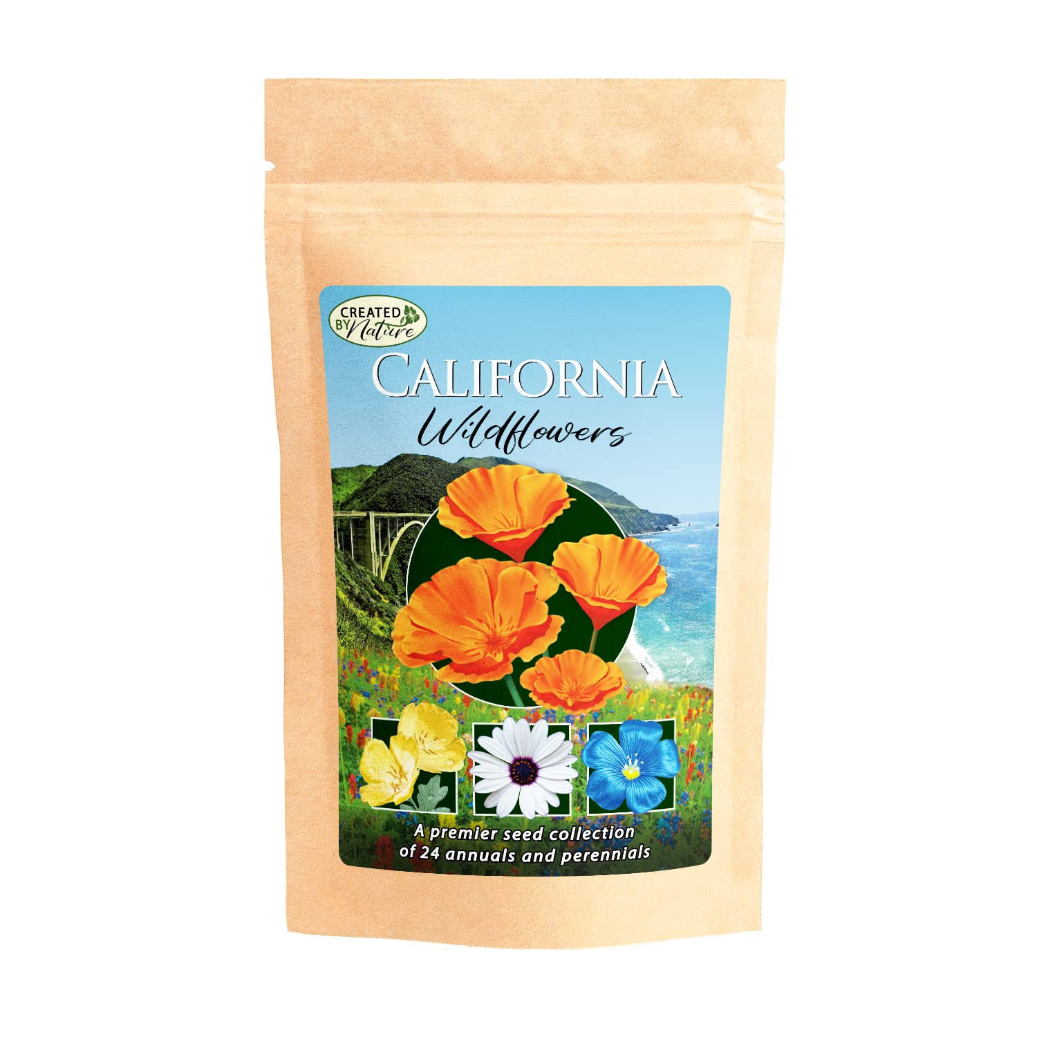 California Wildflower Seed Mix - Over 54,000 Premium Seeds