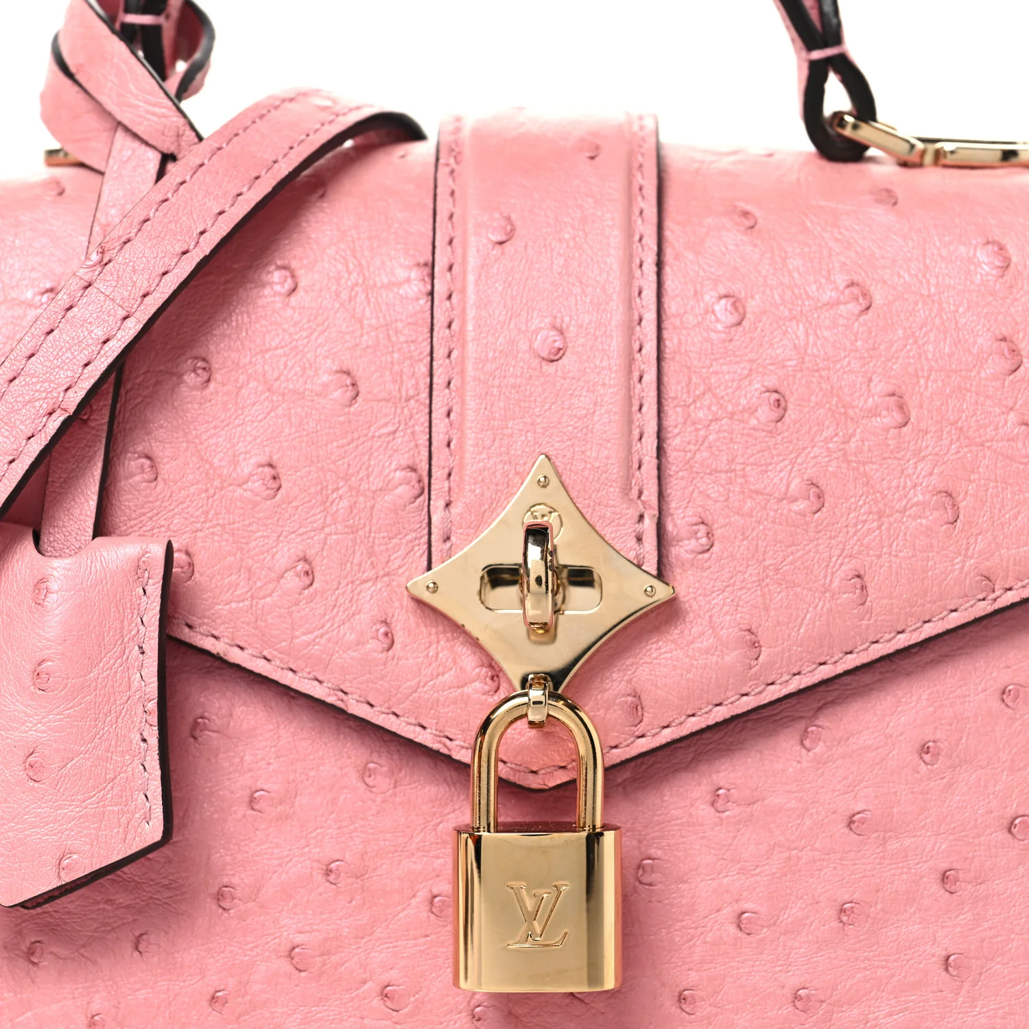 Ostrich Rose Des Vents Mini Pink