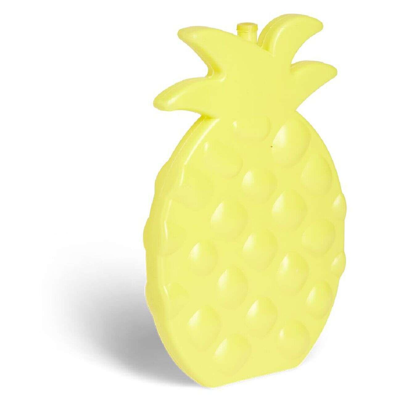 Bloc de glace estival (4 modèles)