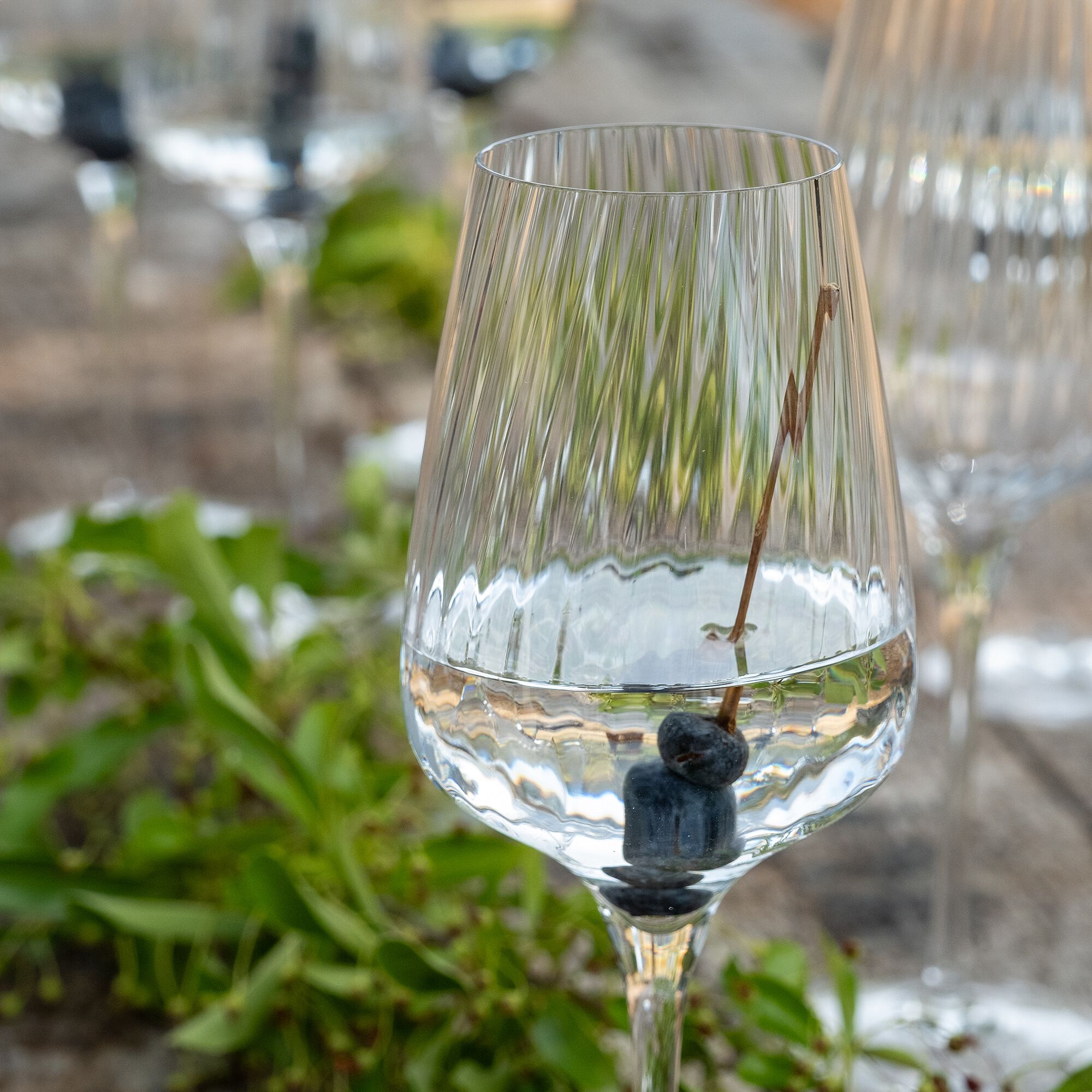 SYMETRIE - Coffret de 6 verres à pied tulipe en cristallin 35cl - transparent