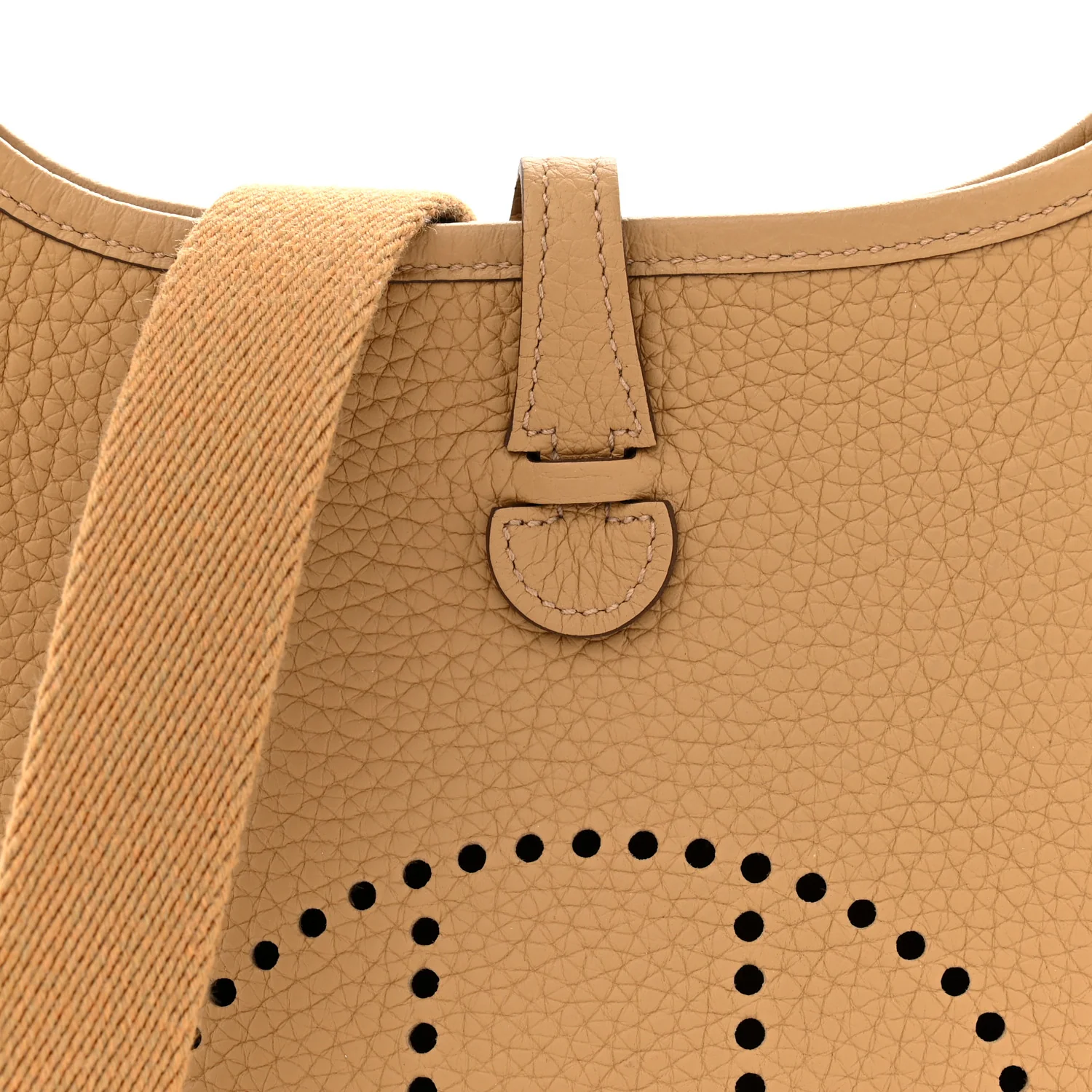 Taurillon Clemence Evelyne TPM Biscuit