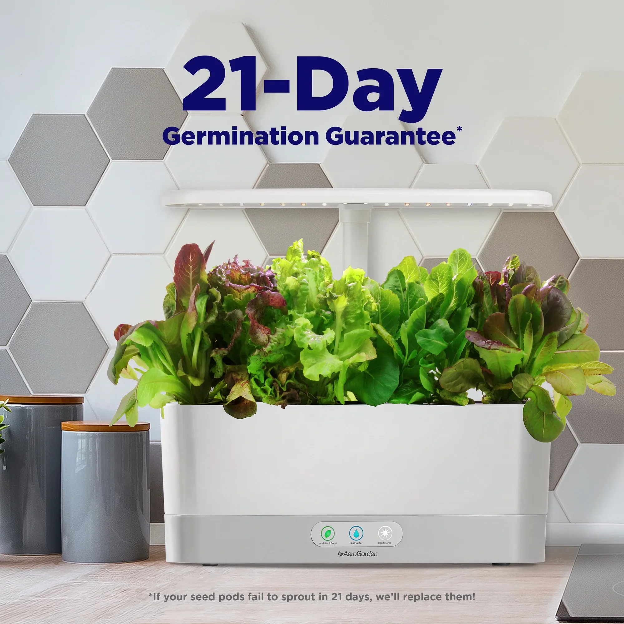 AeroGarden Harvest Slim with Gourmet Herb Seed Pod Kit, Black