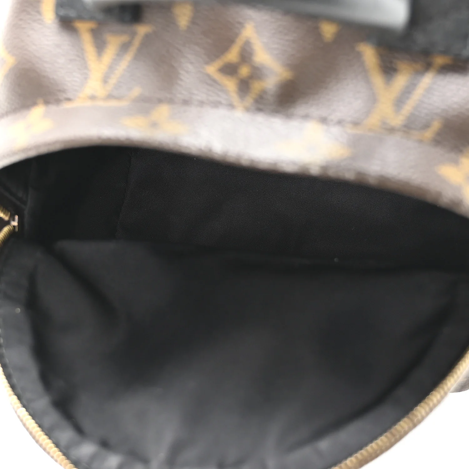 Monogram Palm Springs Backpack Mini
