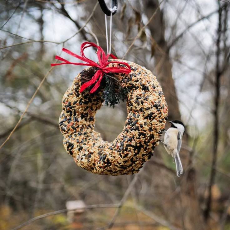 Mr. Bird Wildfeast Wreath
