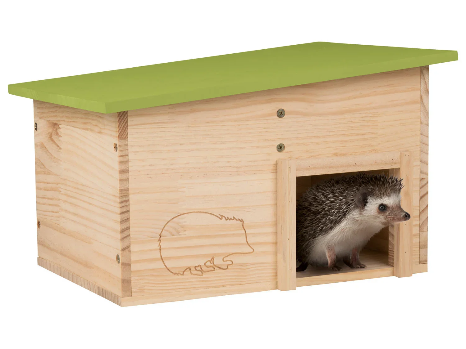zoofari Gte  hrisson, gte  cureuil ou gte  chauve-souris