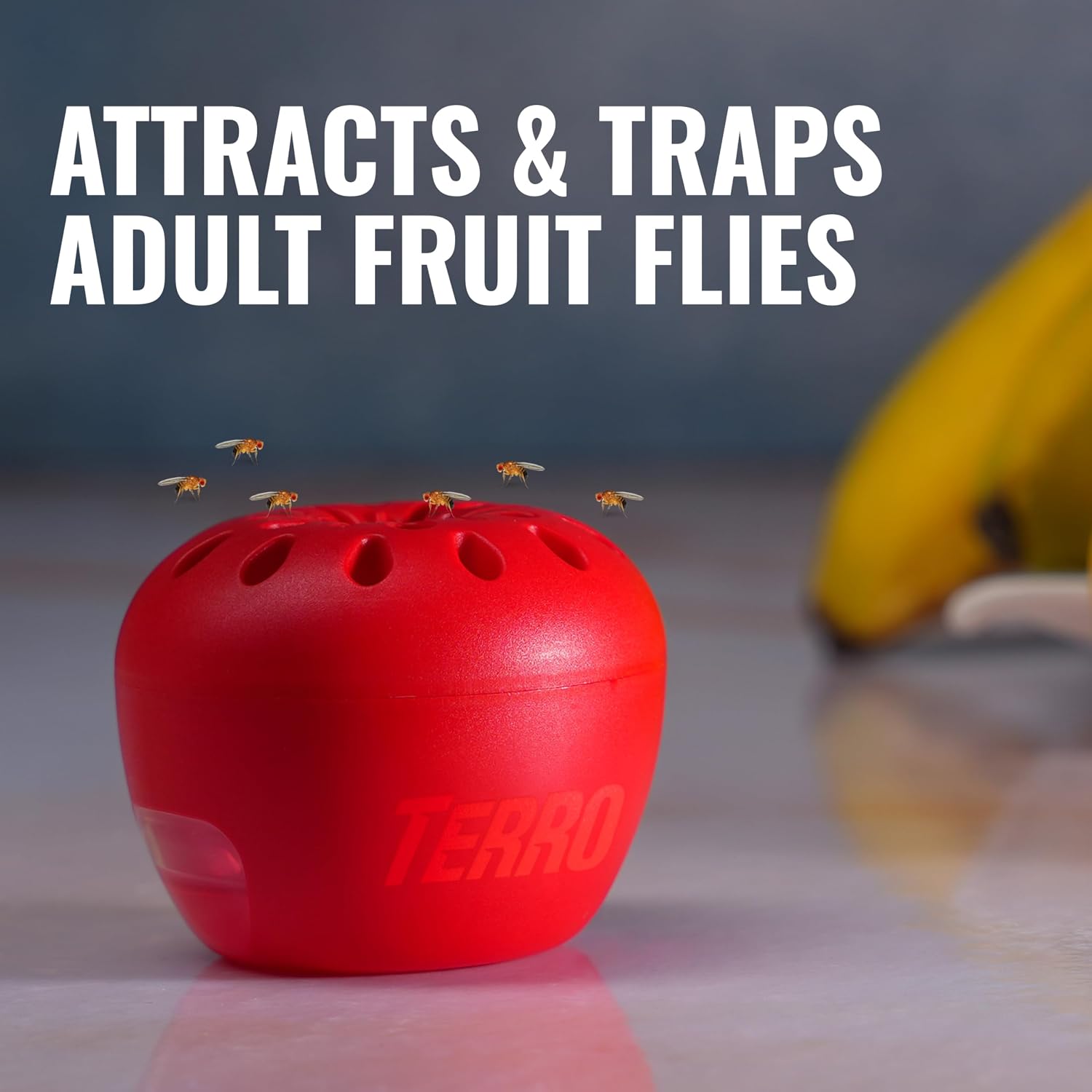 TERRO Fruit Fly Trap 4-Pack, 180 Day Lure Supply, Food-Based Lure| Apple-Shaped Design for Kitchen Counters, Fruit Bowls, Trash Cans, Food-Based Lure, Indoor Pest Control, Fruit Fly Killer