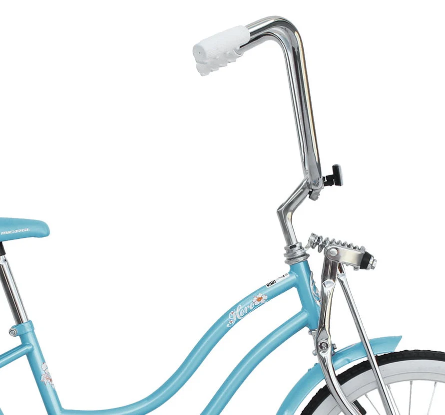 Wonder Wheels 20 in Women'S Girls Beach Cruiser Lowrider Coaster Brake Single Speed Bicycle, Bike with Banana Seat Stainless Steel Spokes One Piece Crank Alloy Rims 36 H - Baby Blue