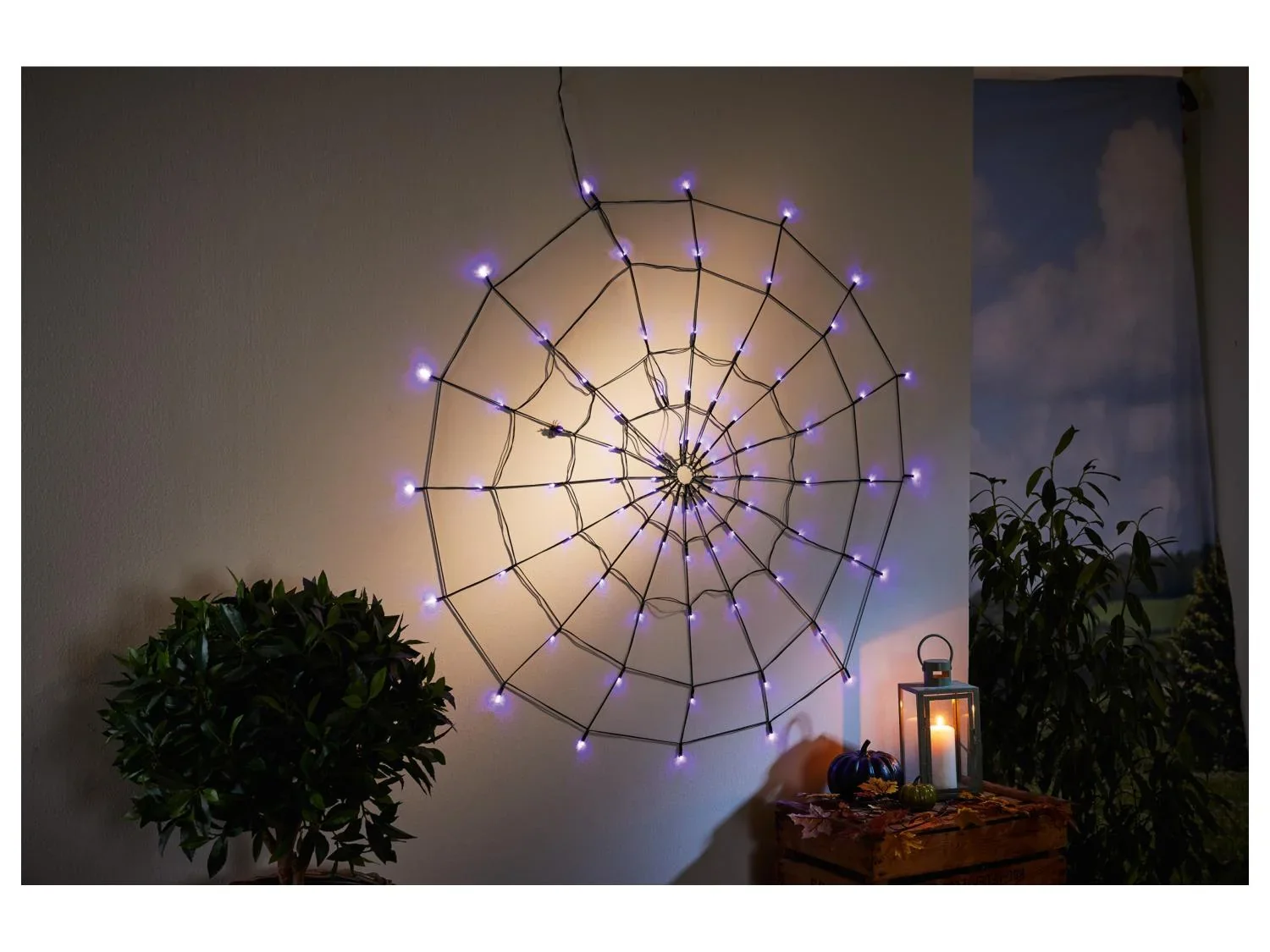 LIVARNO home Toile daraigne  LED