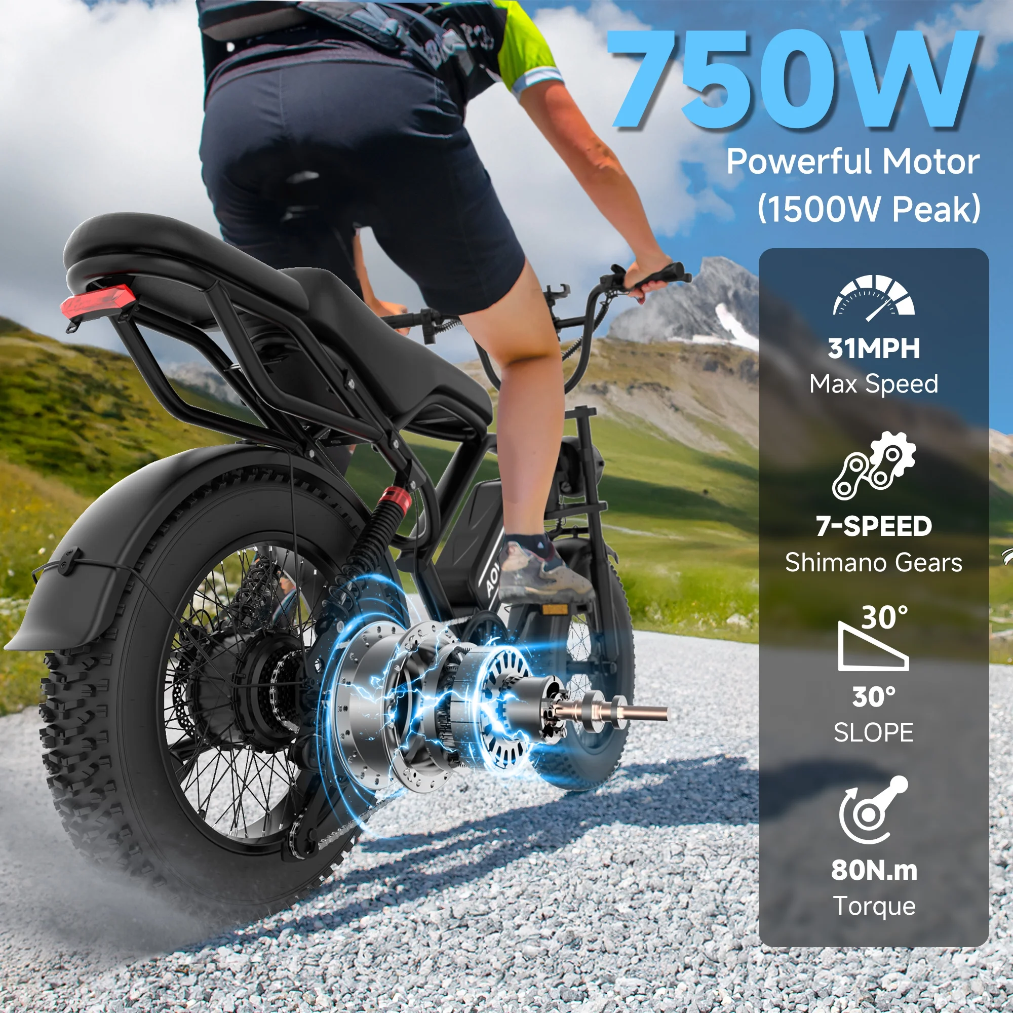 AP20 Electric Bike for Adults 20 X 4.0 Fat Tire, 750W Off-Road E Bike, E-Mountain Bike 48V 15.6AH UL2849 - Image 6