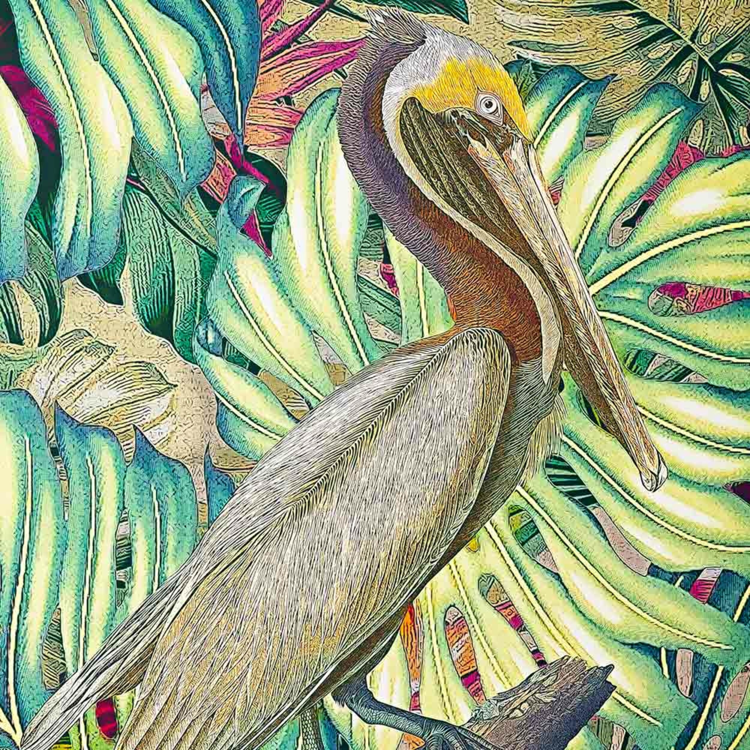 Jungle Pelican Framed Canvas Print 100x100cm