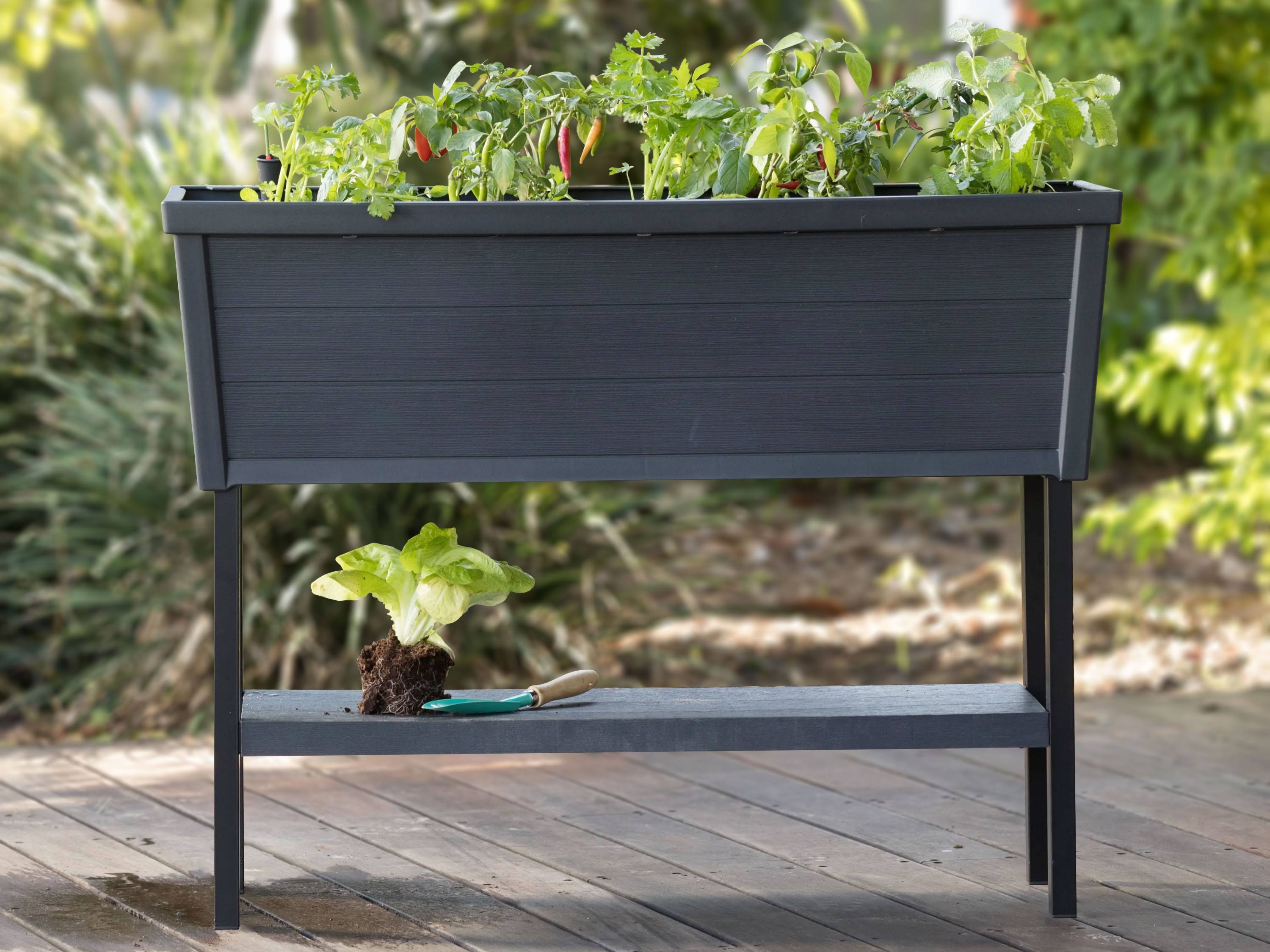 Keter 236157 Urban Bloomer, Resin Elevated Planter Raised Garden Bed, Black