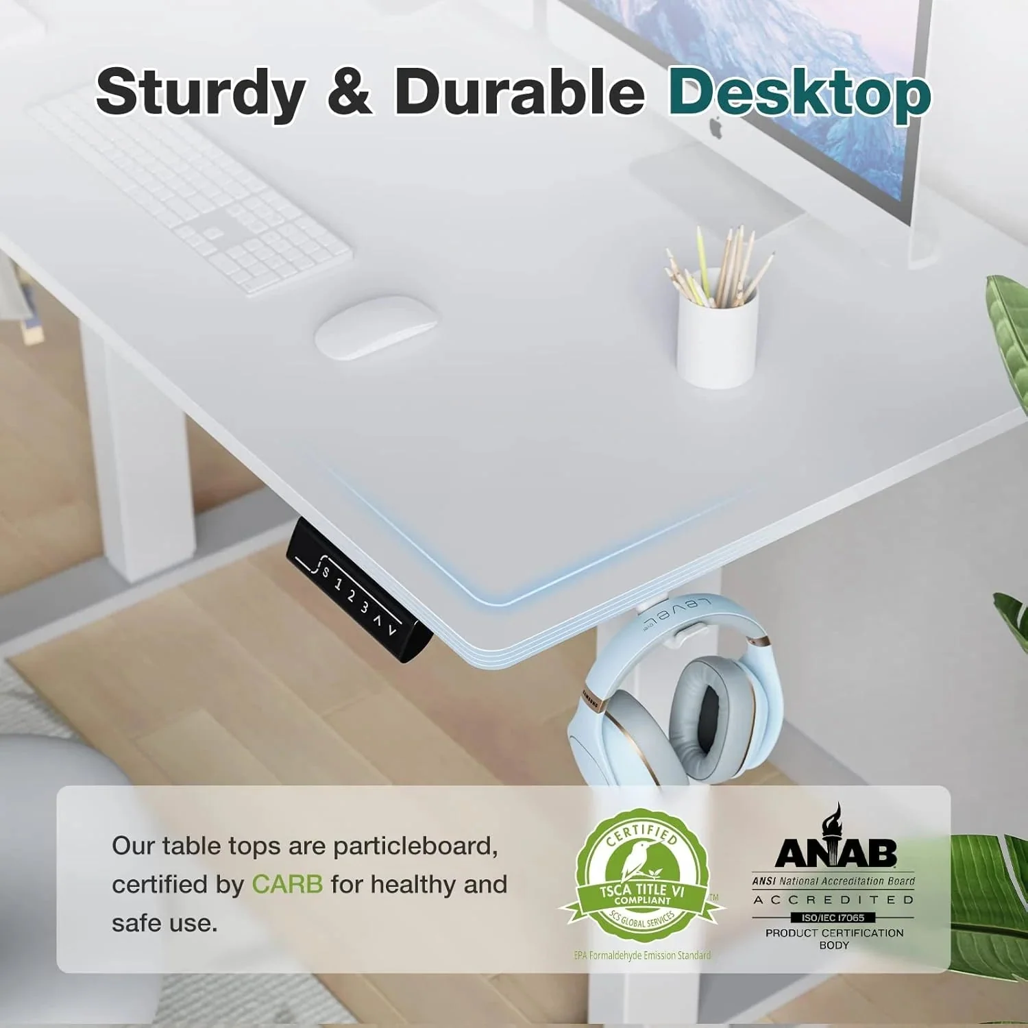 Electric Standing Desk 48 x 24 Inch Adjustable Height Electric with 3 Memory Controller