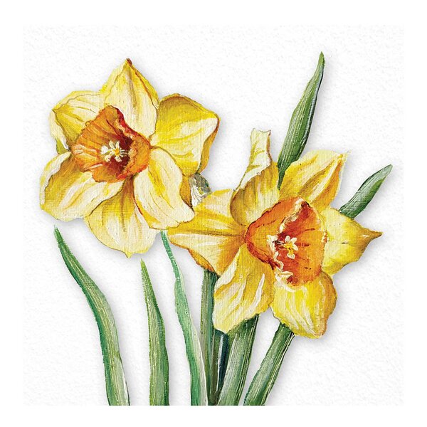 Serviett 33x33 cm 20 stk Flowering Daffodils