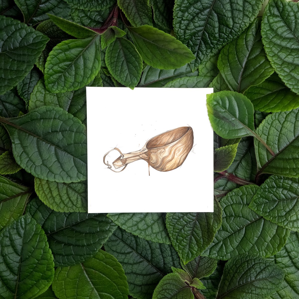 Små kunstkort turkopp