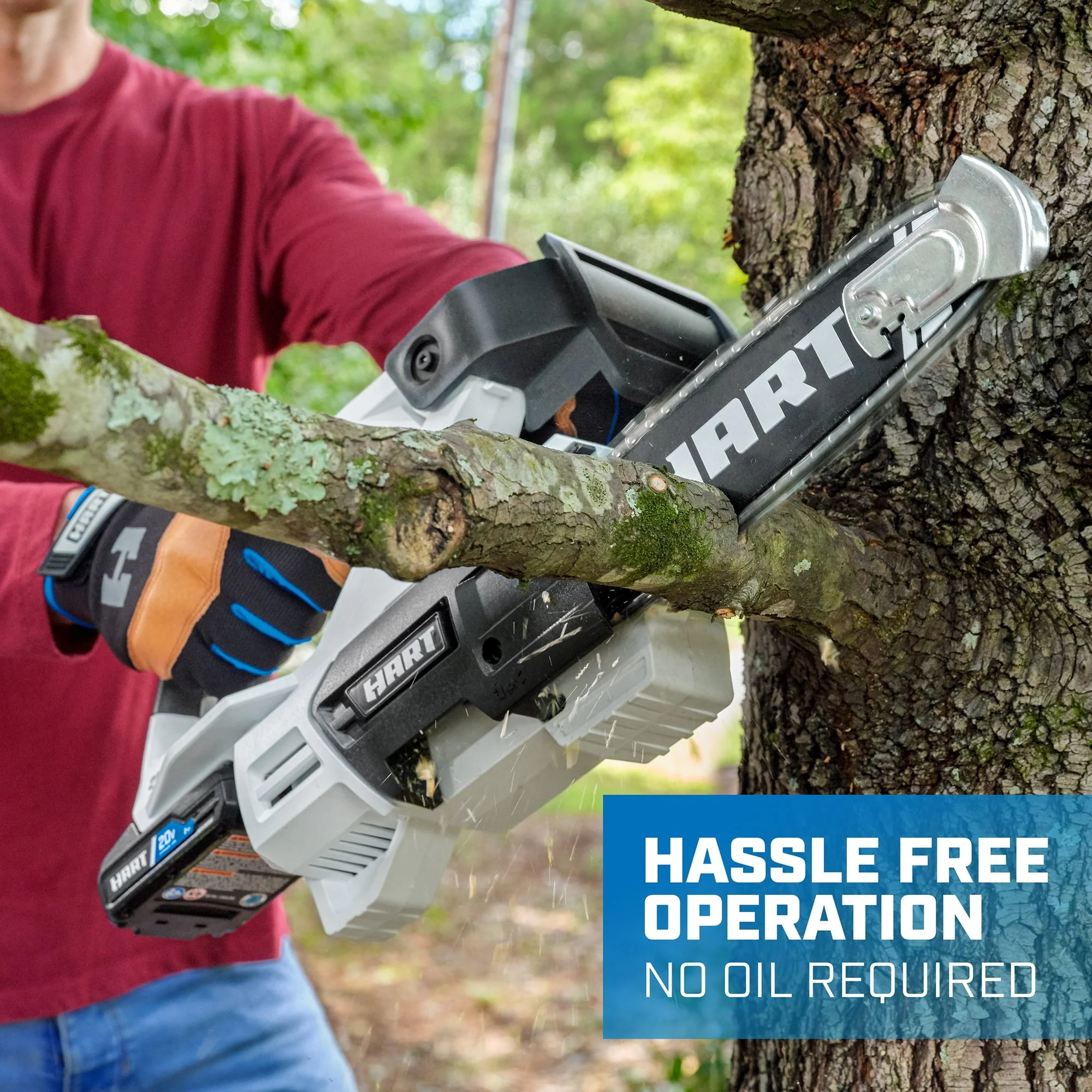 20-Volt 8-inch Battery-Powered Pruning Chainsaw Kit, (1) 2.0Ah Lithium-Ion Battery(Battery Included) - Image 2