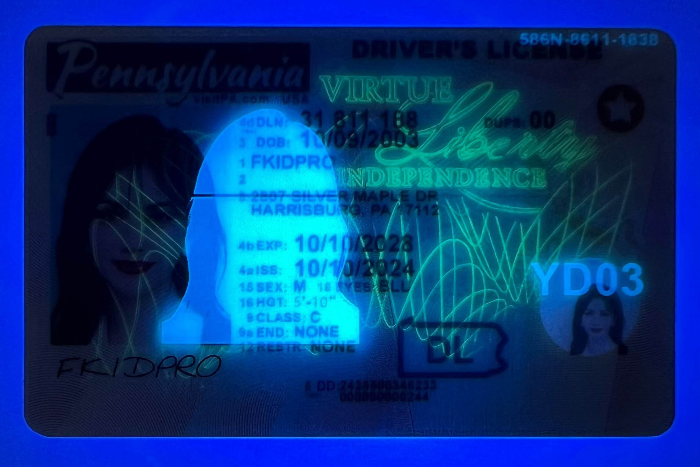 Pennsylvania ID (Latest Version)