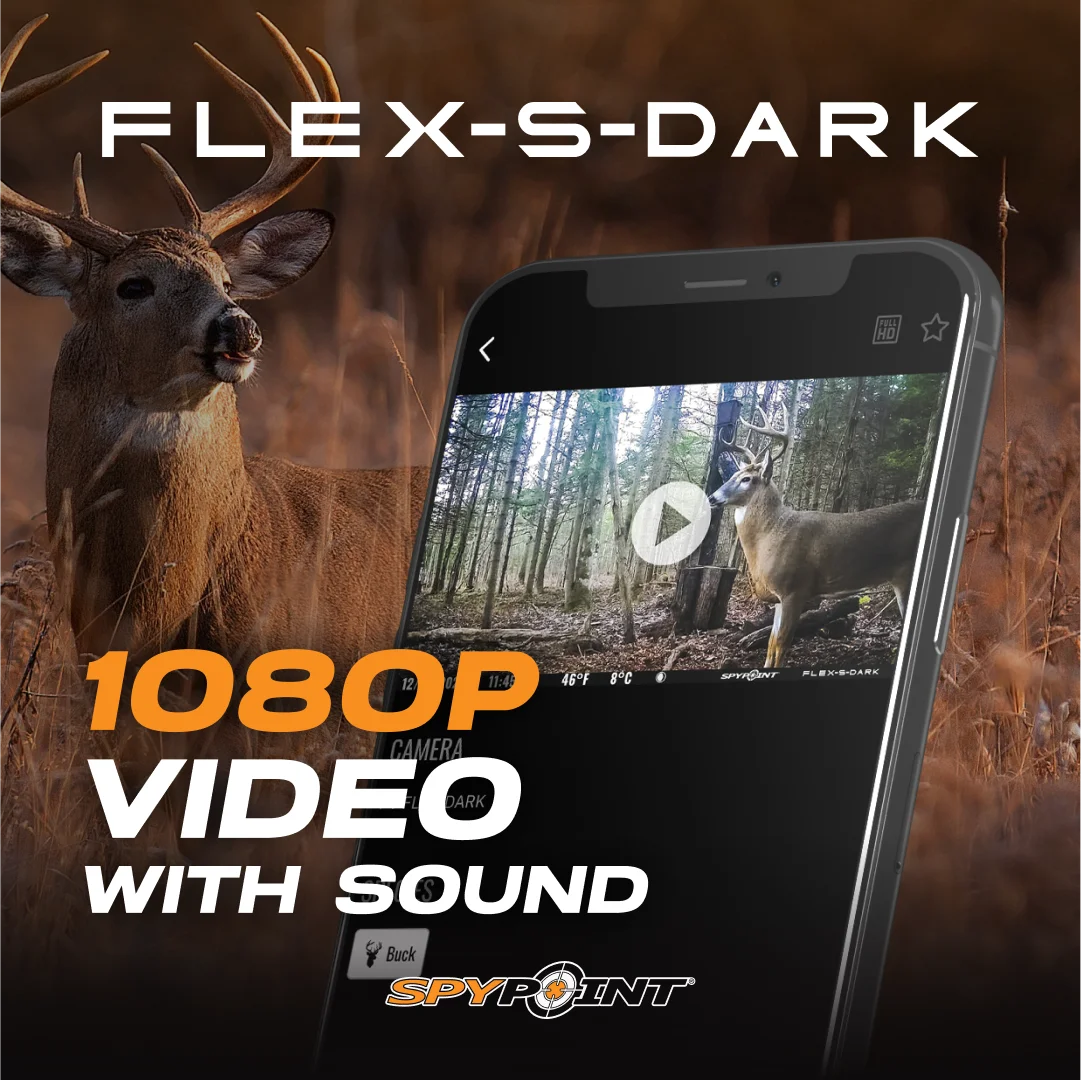 Flex-S Dark Solar Outdoor Cellular Trail Camera Integrated Solar Panel, No WiFi Needed, Night Vision Motion Activated, Dual-Sim LTE, 40MP Photos and 1080p w/Sound - Image 5