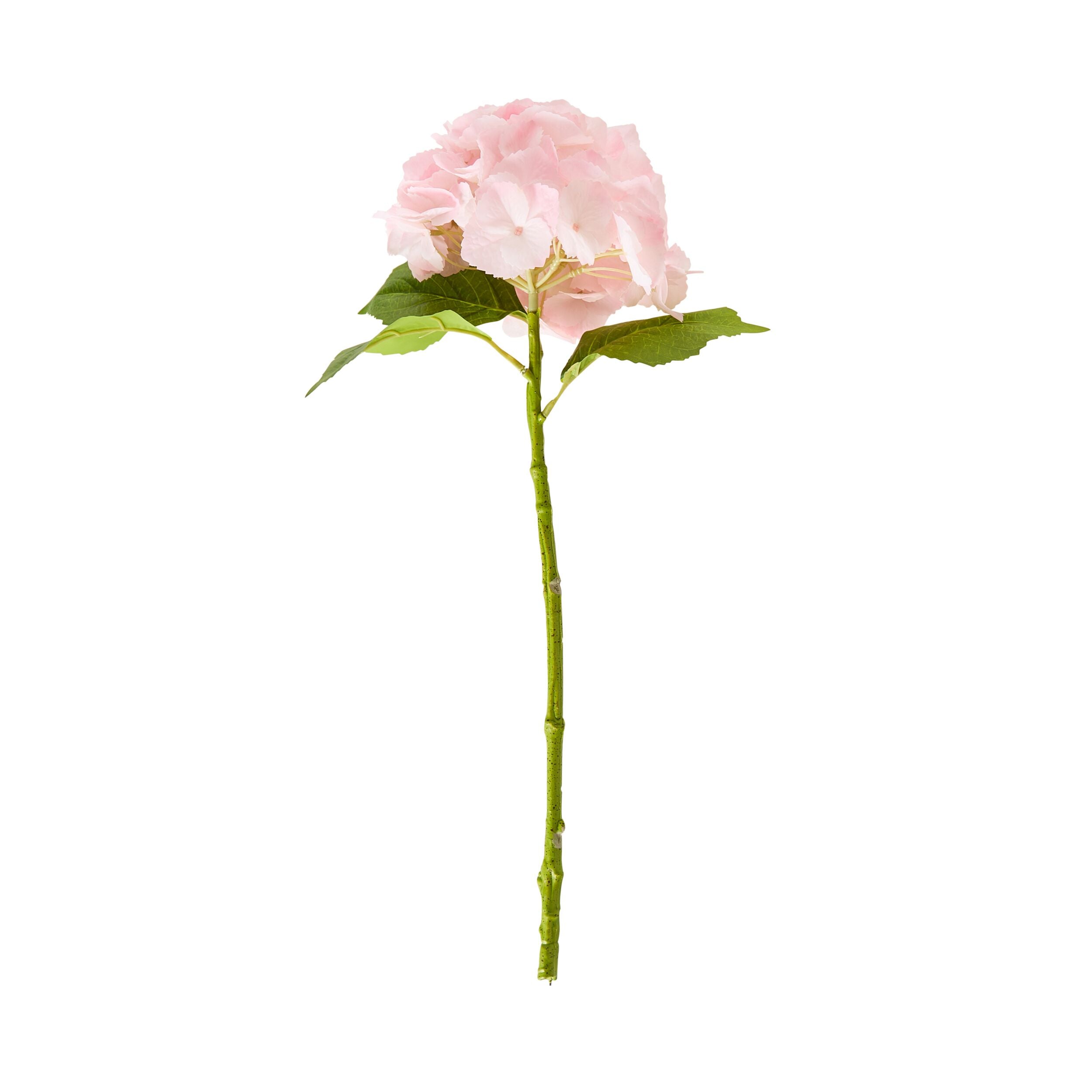 Bloomery Hydrangea Stem Soft Pink 56cm