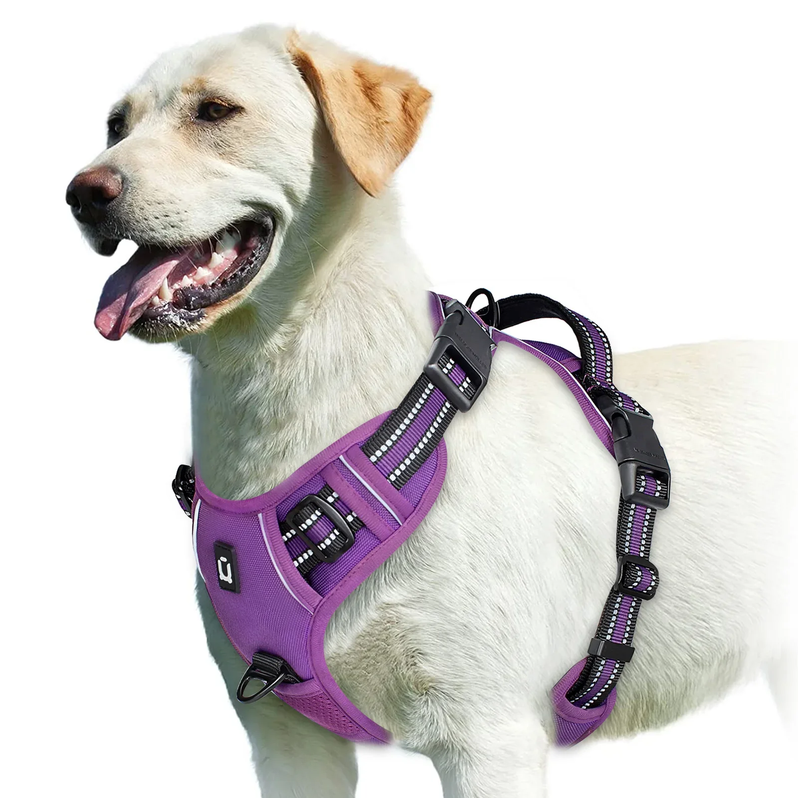KomfortFit™ Hundegeschirr – Anti-Zug, gepolstert & verstellbar