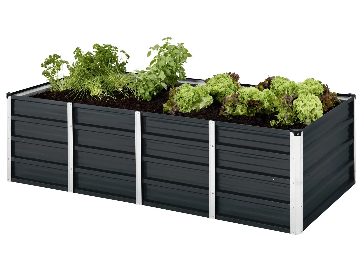 PARKSIDE Carr potager en mtal, 160 x 80 x 45 cm, 570 L