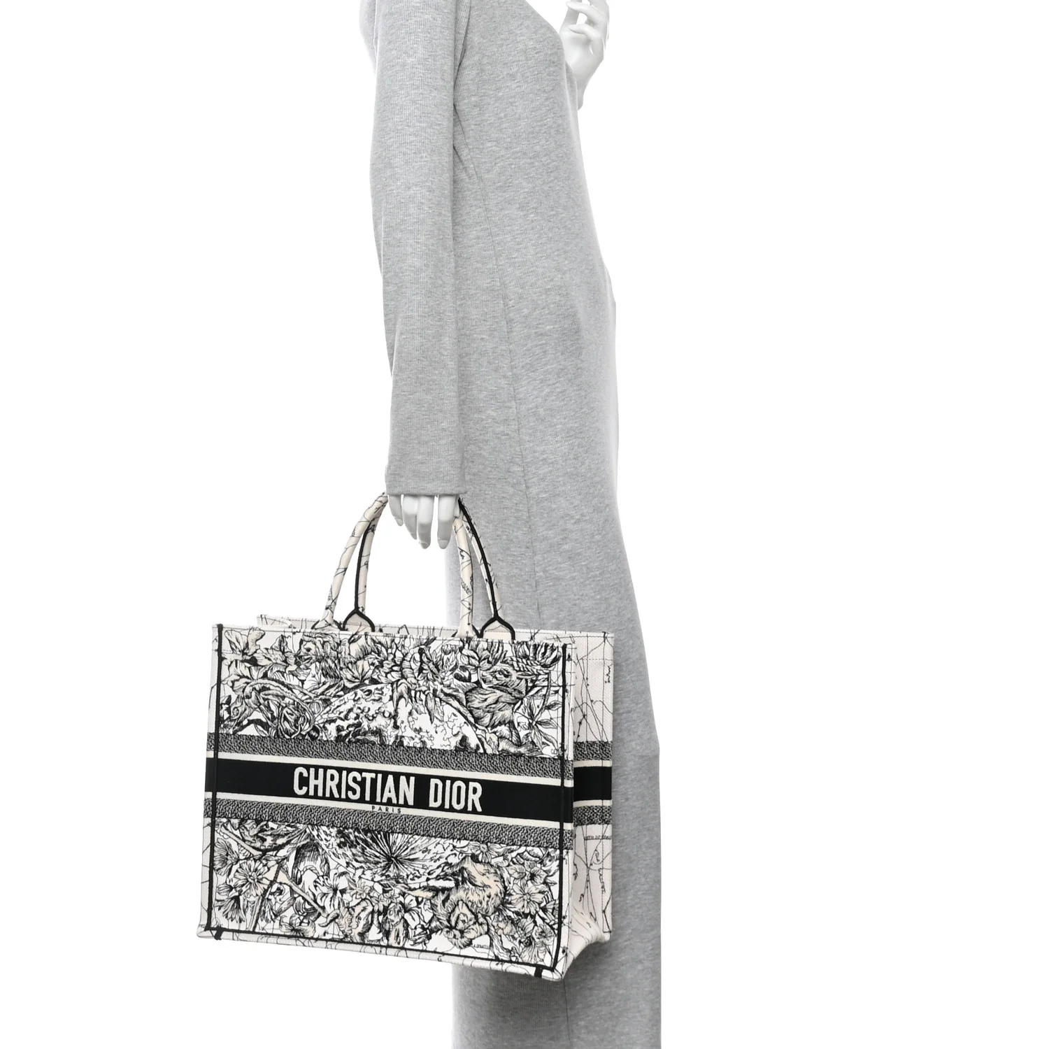 Canvas Embroidered Zodiac Book Tote Latte Multicolor