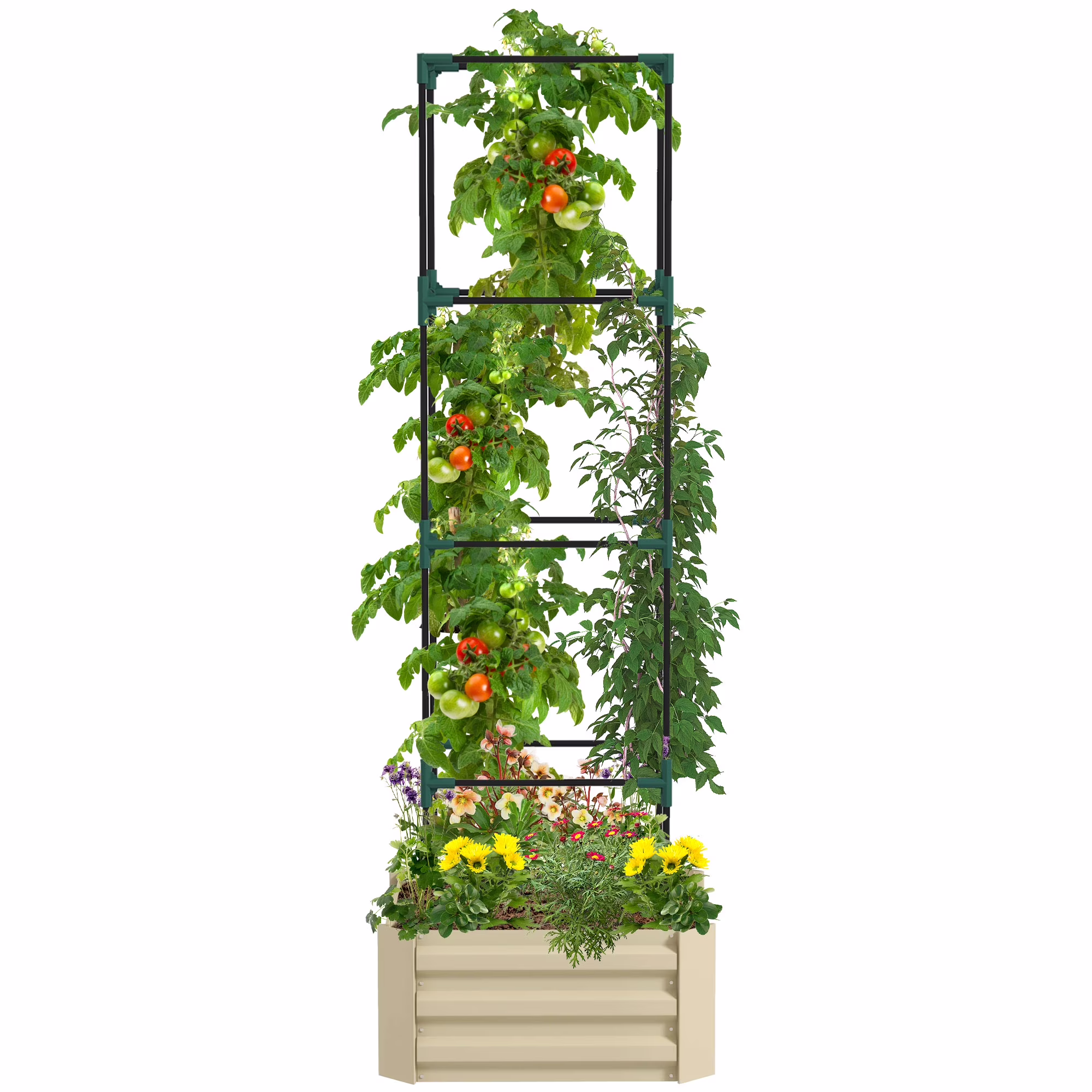 Outsunny Galvanized Raised Garden Bed,24 X 24 X 11.75 Outdoor Planter Box with Trellis Tomato Cage and Open Bottom for Climbing Vines,Vegetables,Flowers In Backyard,Garden,Patio,Cream,White Steel