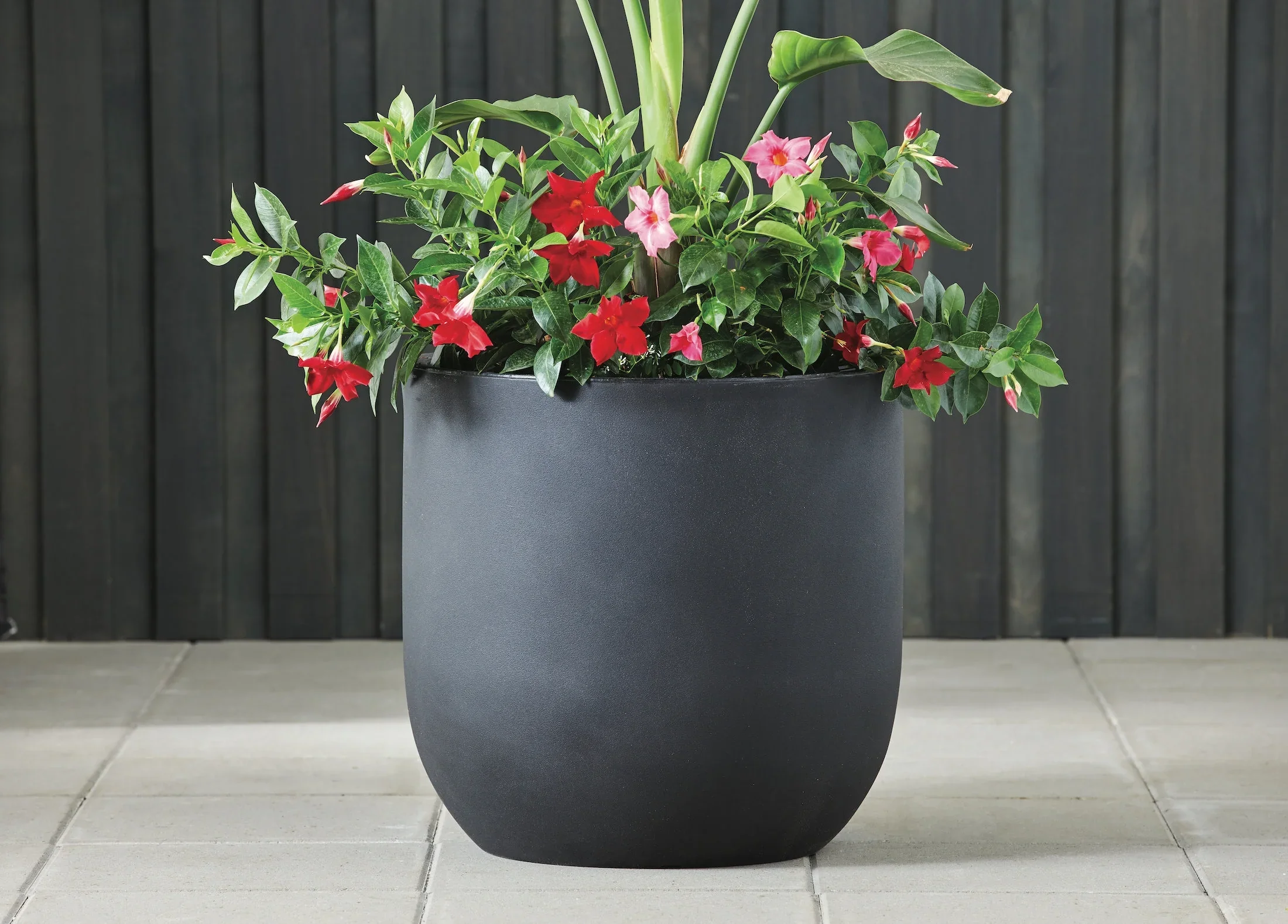 (3 pack) Better Homes & Gardens 18in Mosswood Resin Planter, Matte Black