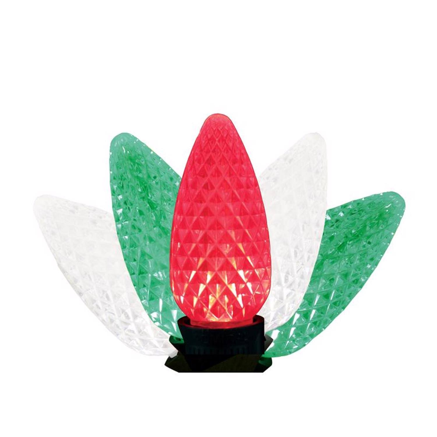 Celebrations 9086425 25 ft. Platinum LED C9 String Christmas Lights Multi Color - 25 Count