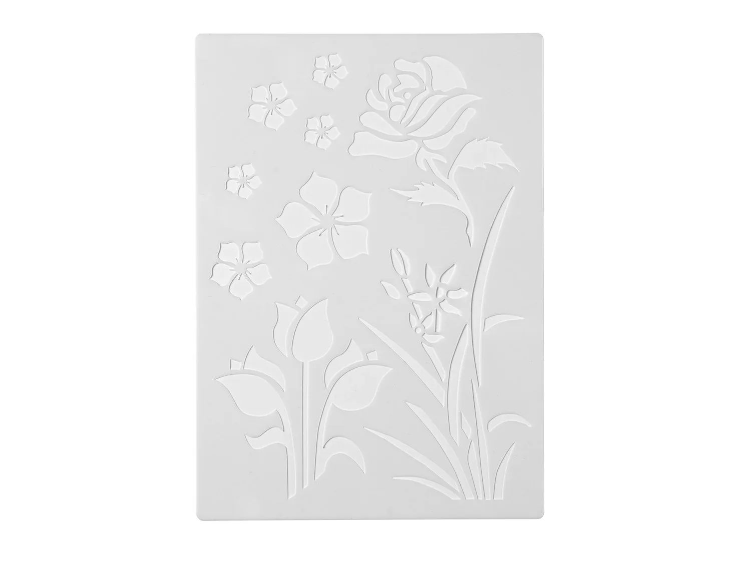 crelando Set de dmarrage d'arographie, 19 pices