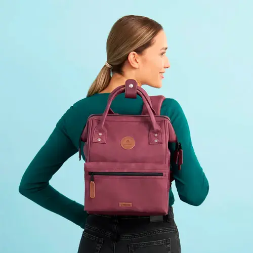 Sac à dos Adventurer Small Delhi