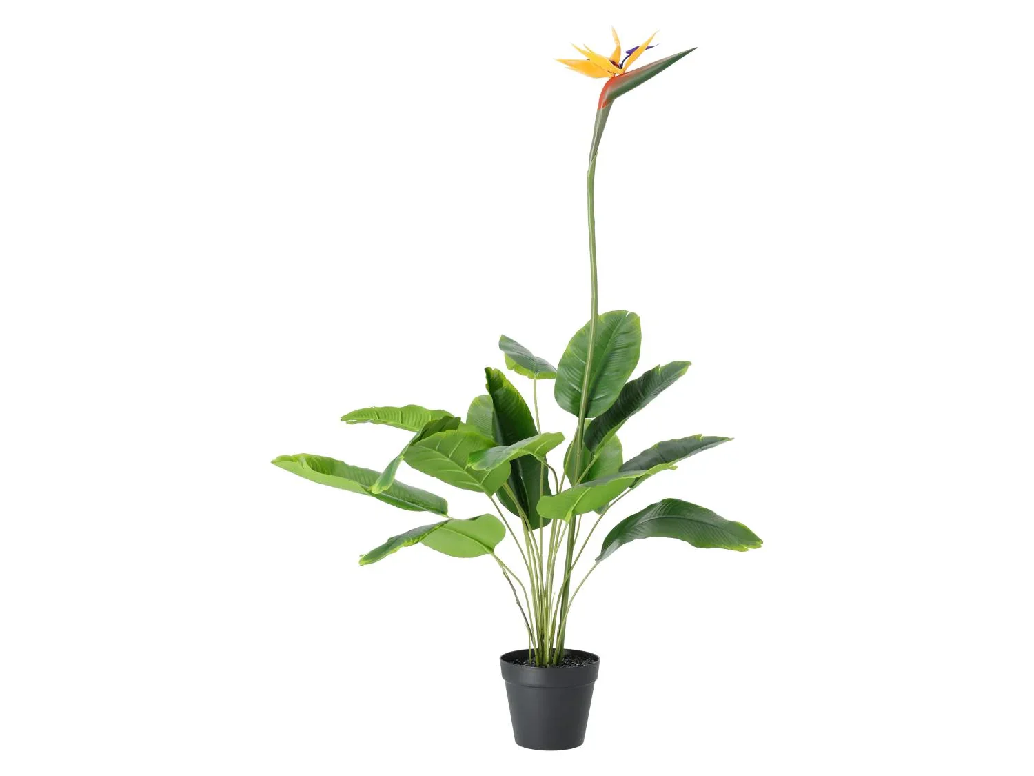 LIVARNO Plante artificielle