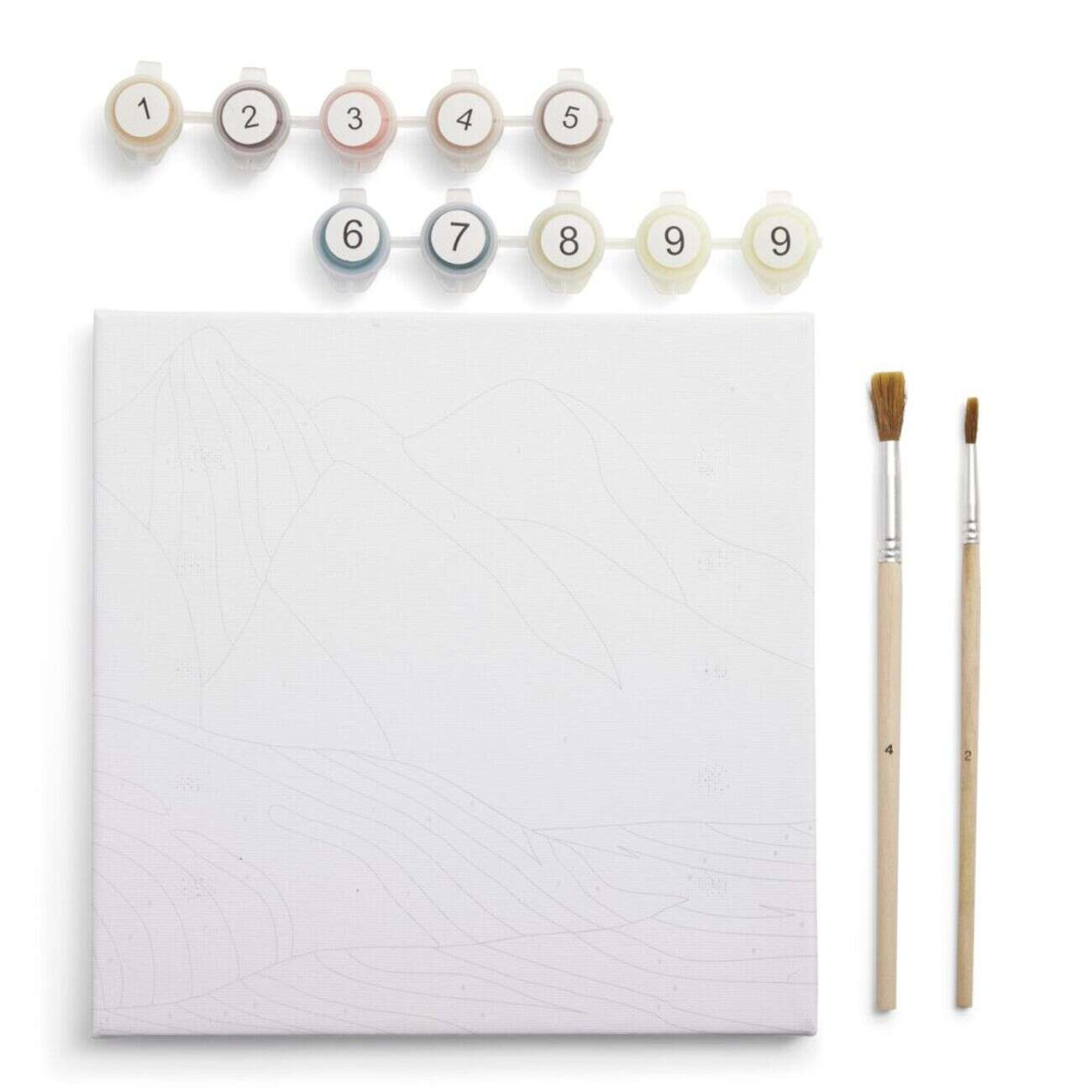 Kit de toile à peindre par numéros 41x24cm (plusieurs modèles)