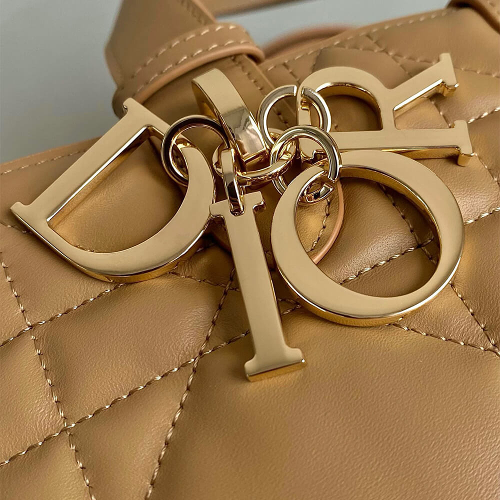 Large Dior Toujours Bag(HIGH-END GRADE)