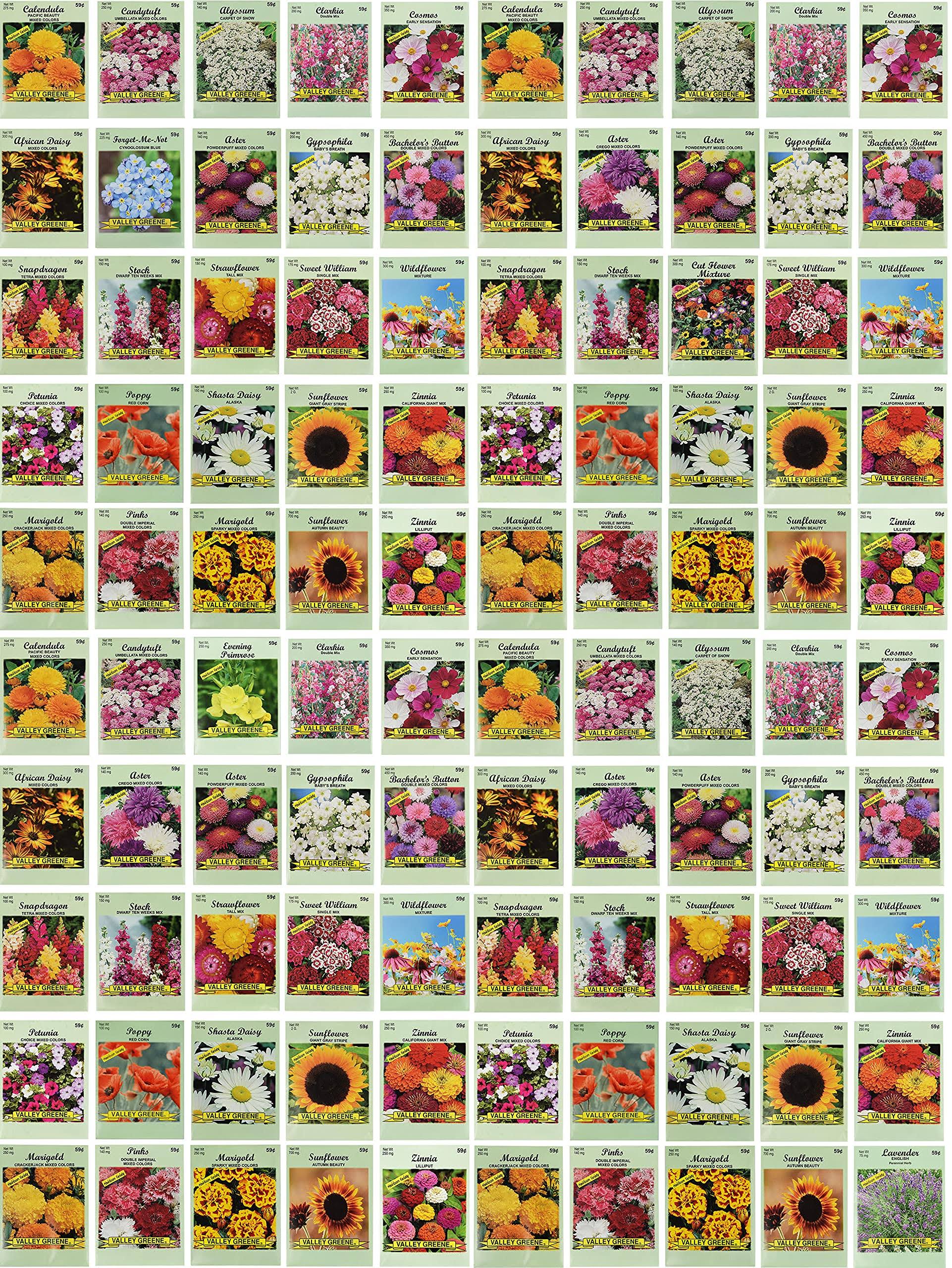 Set of 100 Assorted Valley Green Flower Seed Packets! Flower Seeds in Bulk - 20+