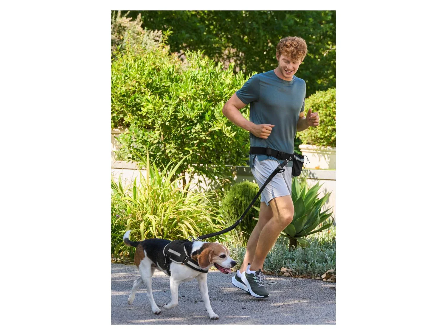 zoofari Laisse ou Collier avec laisse pour chien