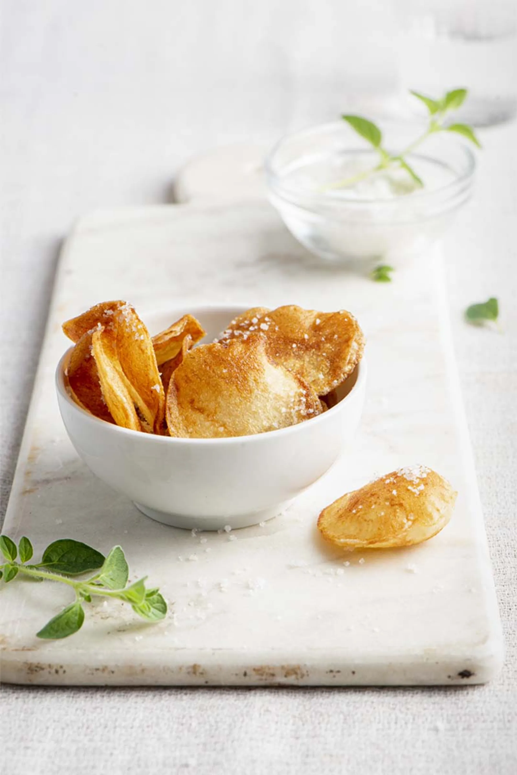 FRITEL Friteuse Turbo SF® 4571