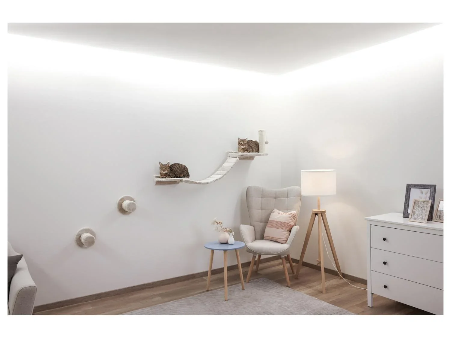 KERBL Mur d'escalade pour chat