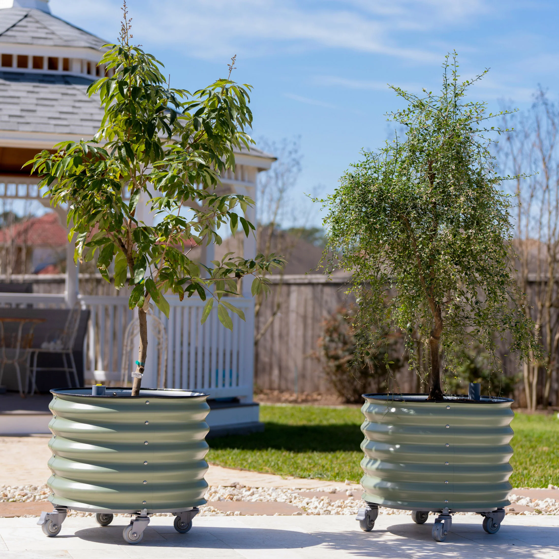 Vego Garden Self-Watering Rolling Citrus Tree Planter