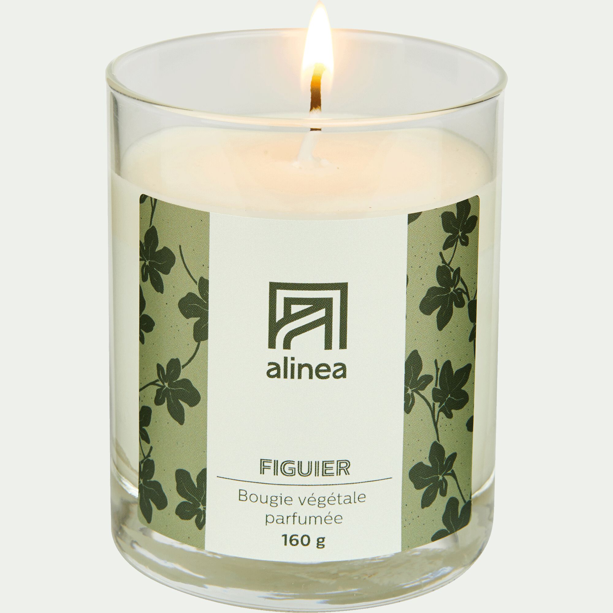 SIGNATURE - Bougie parfumée senteur Figuier 160g