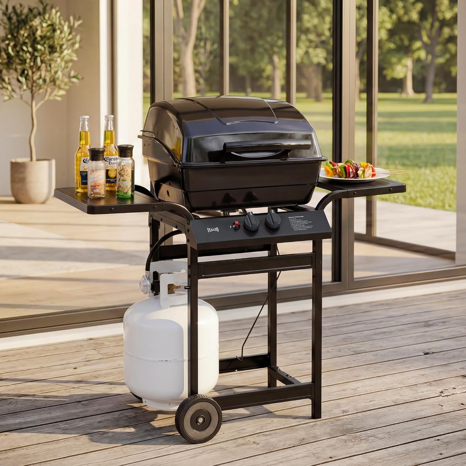 Feasto 2 Burner Propane Gas Grill for Outdoor Cooking and BBQ, Black