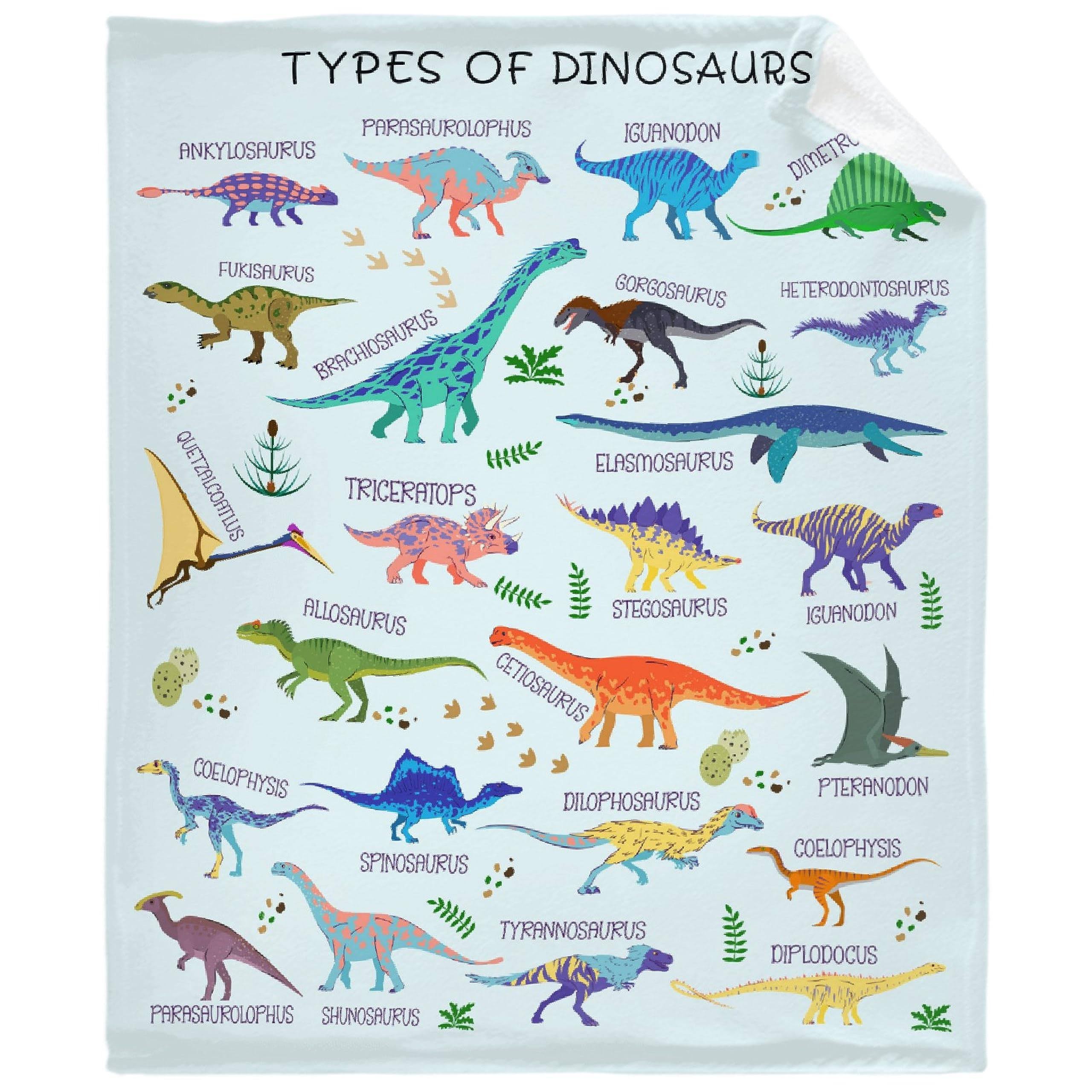 Dinosaur Blanket for Boys Types of Dinosaurs Birthday Gifts for Boys Kids Toddler Girls Teens Soft Flannel Funny Dinosaur Animal Educational Throw