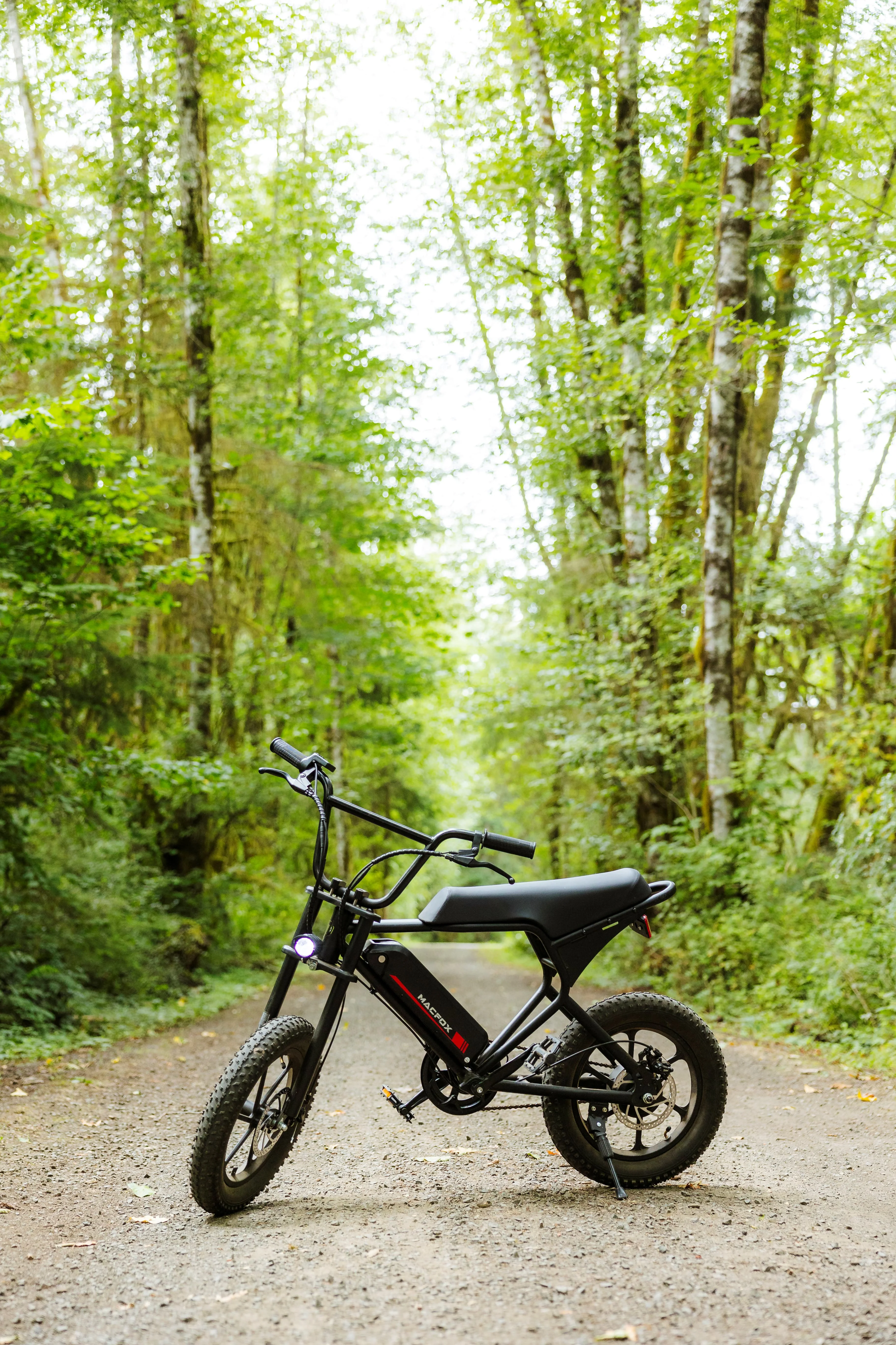 Macfox M19 Teen Electric Bike