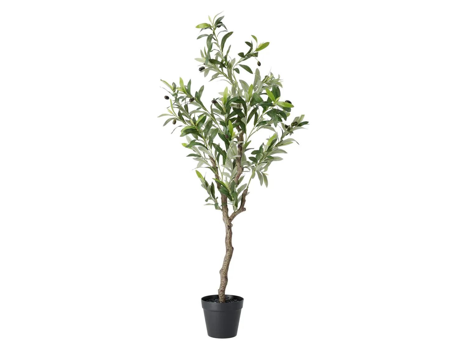 LIVARNO Plante artificielle