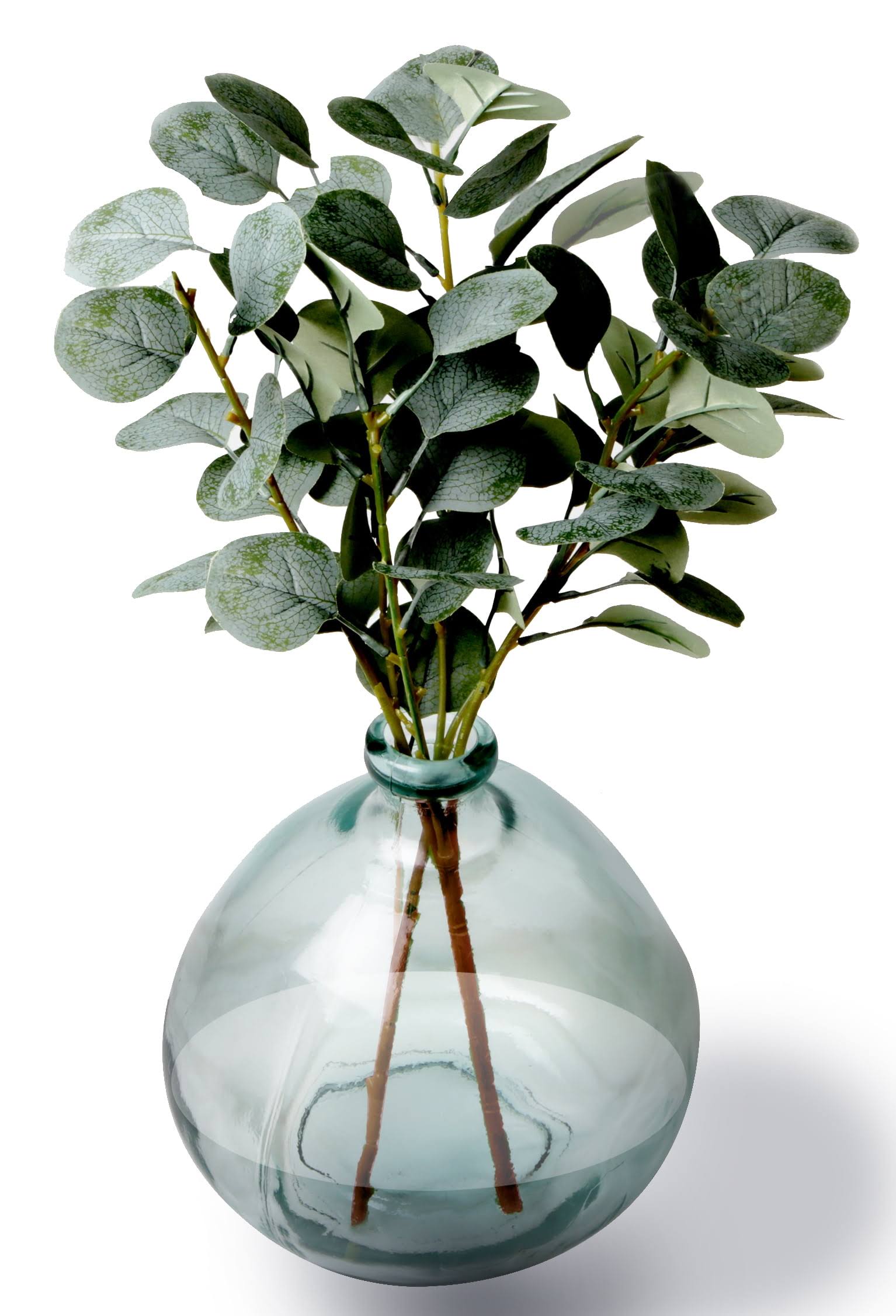Better Homes & Gardens 12