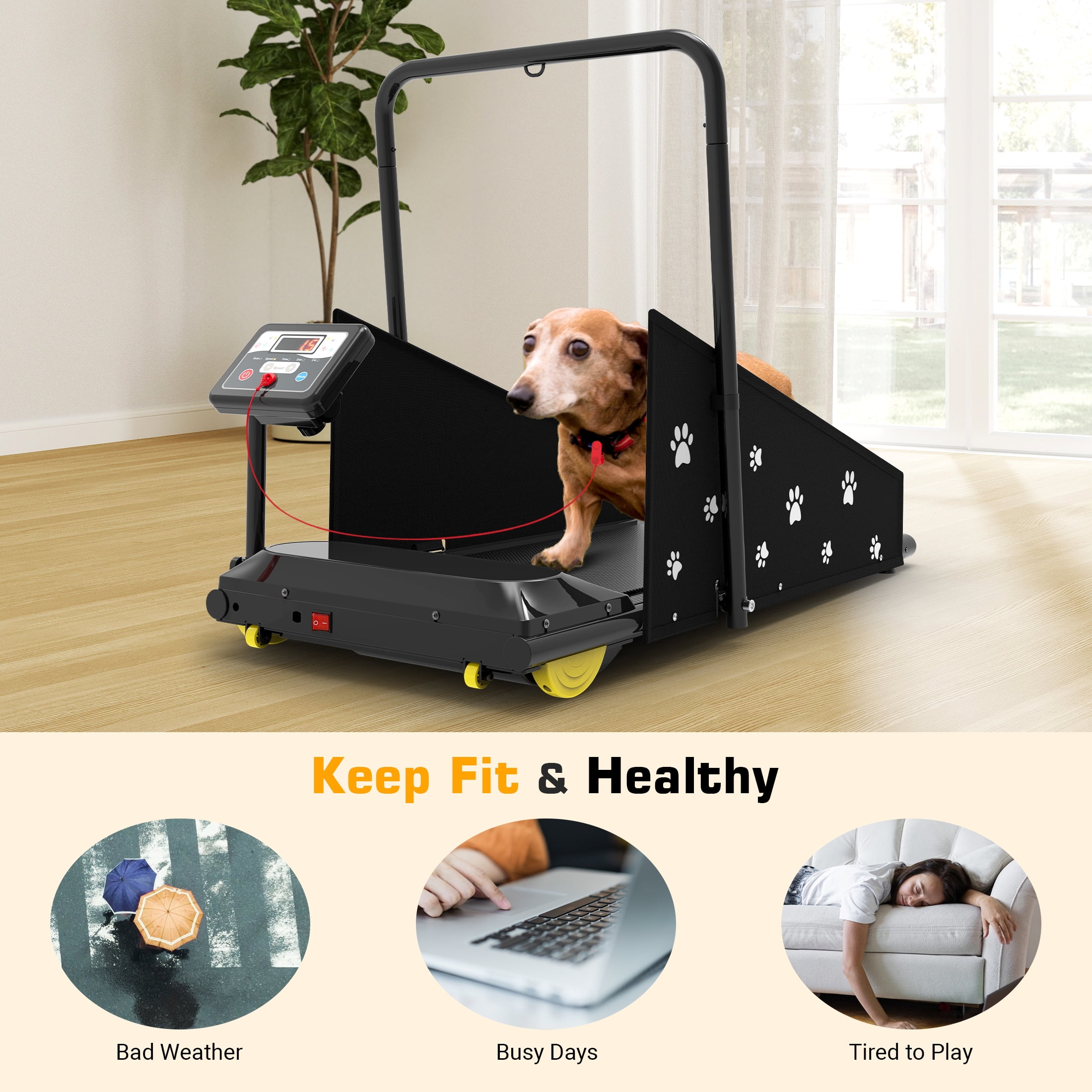 Dog Treadmill, Indoor Pet Fitness Machine for Small Medium Dogs, 265LB Capacity, LCD Display Remote(Black) - Image 7